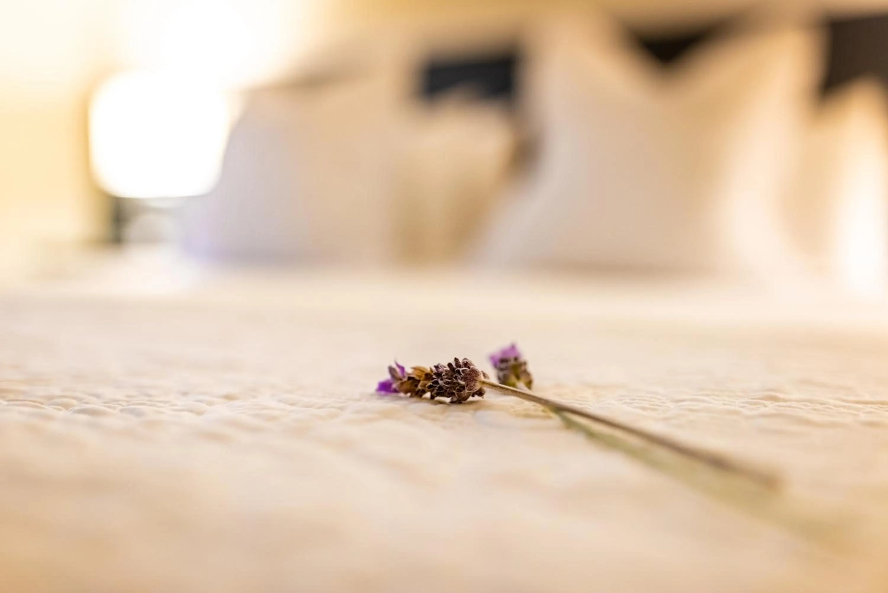 Courtyard Queen Room in Margaret River Guest House