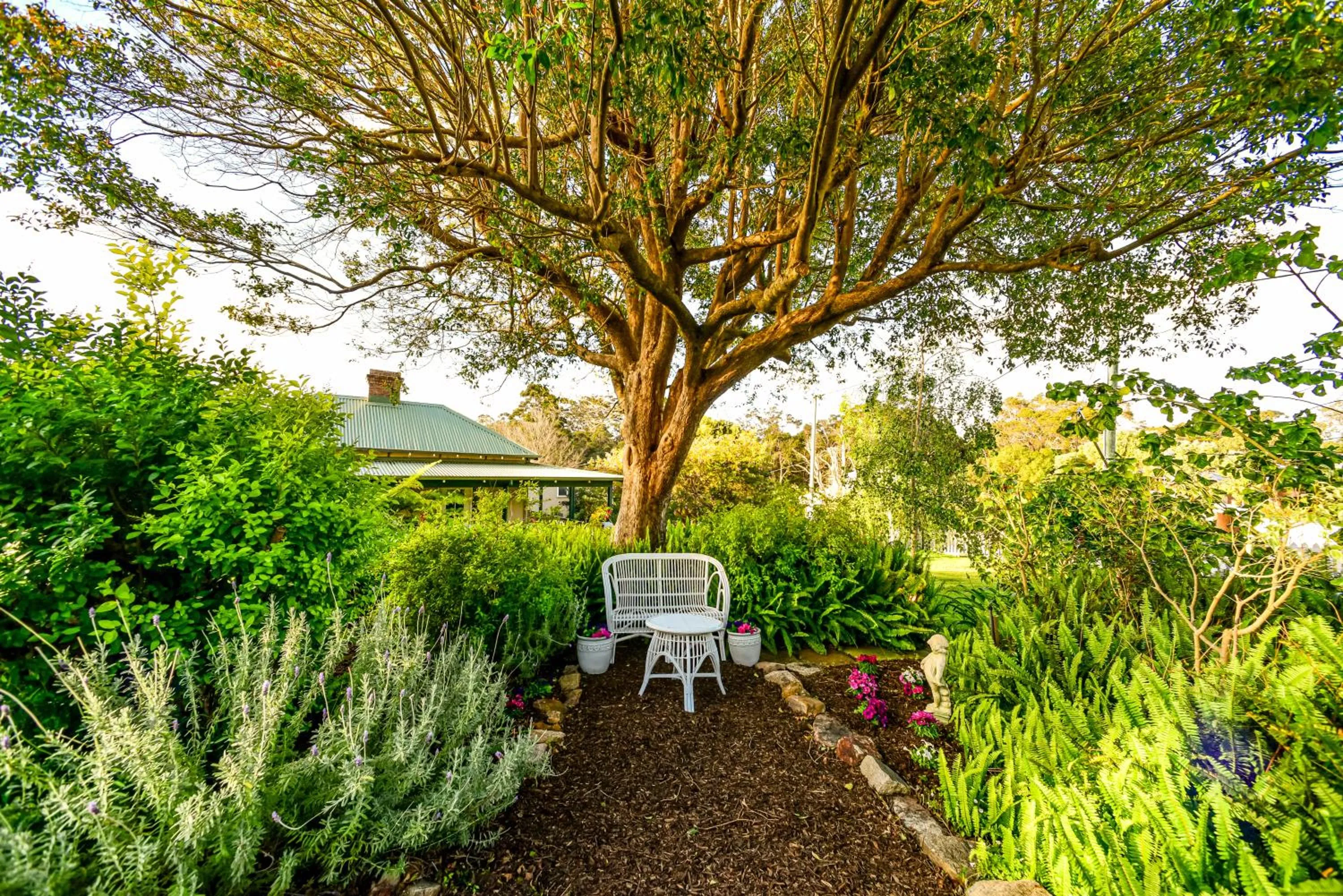 Garden in Margaret River Guest House