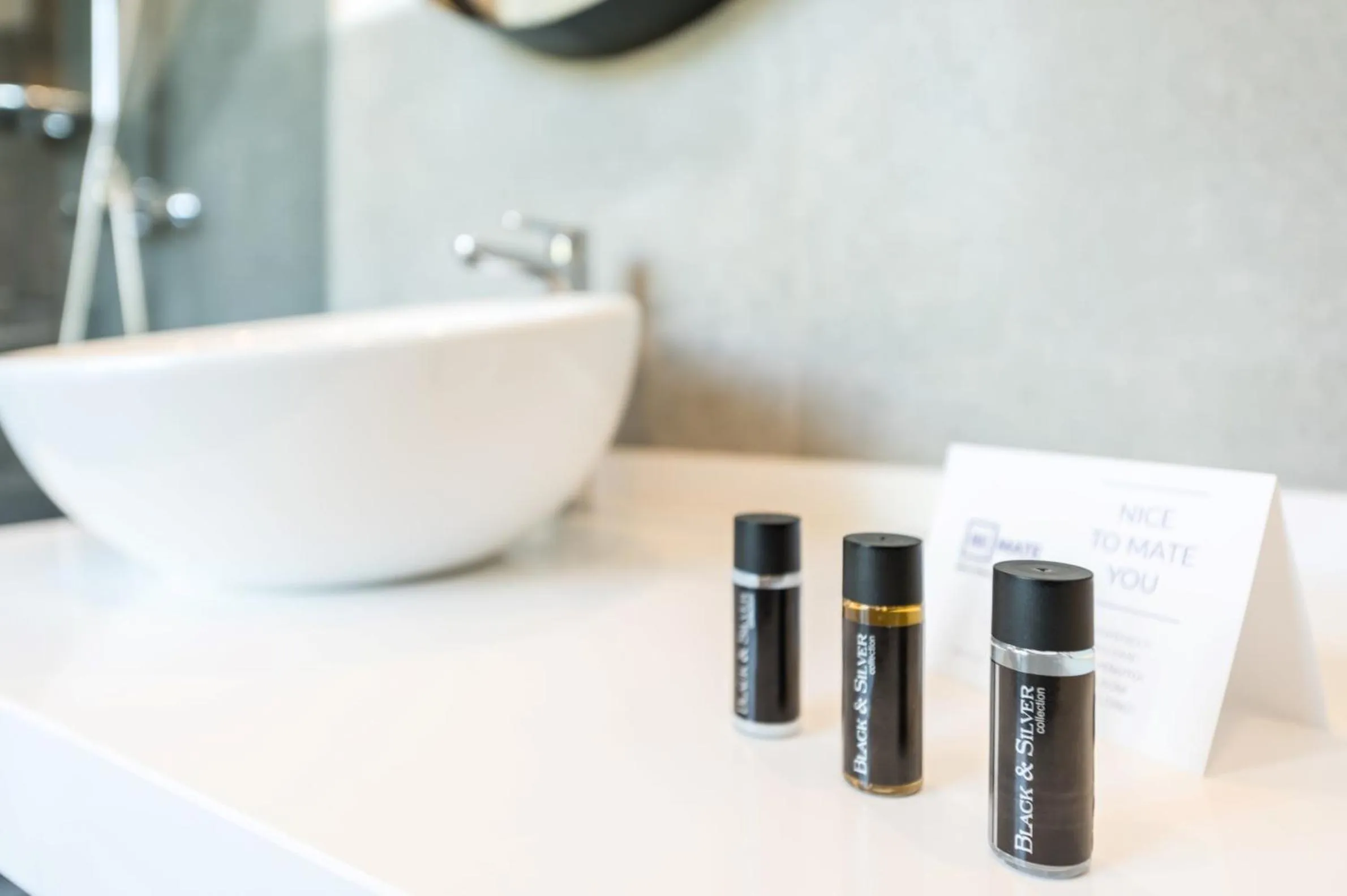 Bathroom in Plaza de España Skyline