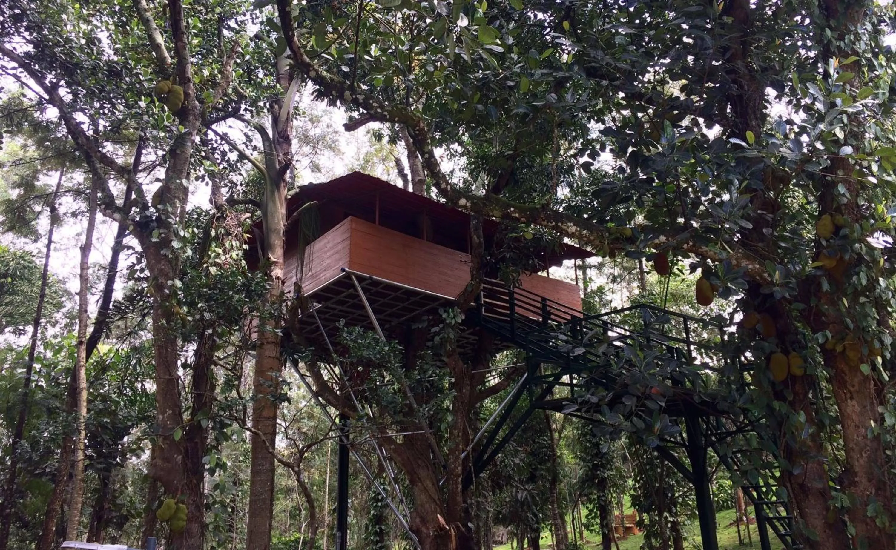 The Brook Resorts & Spa