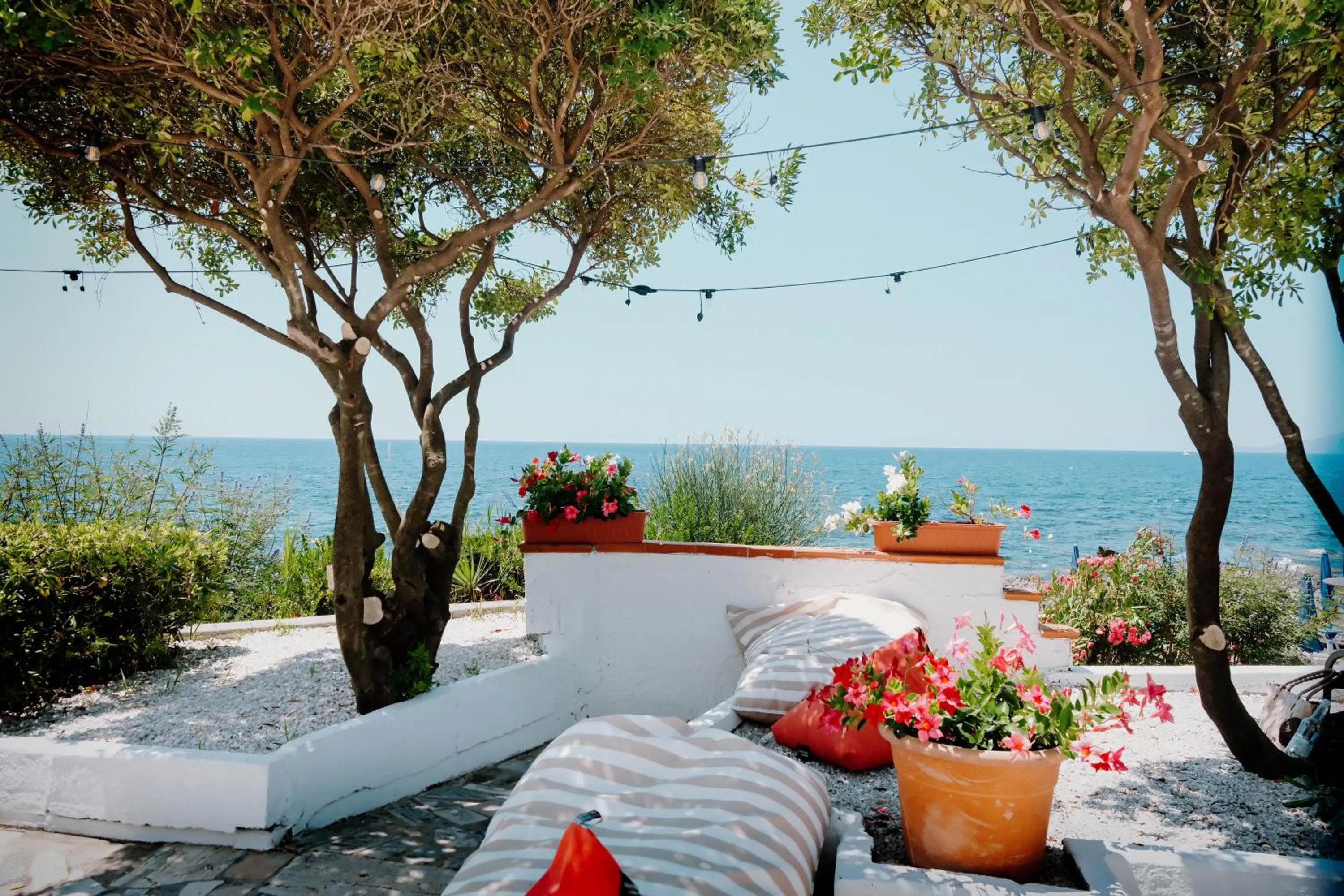 Garden in Hotel Mediterraneo Sapri