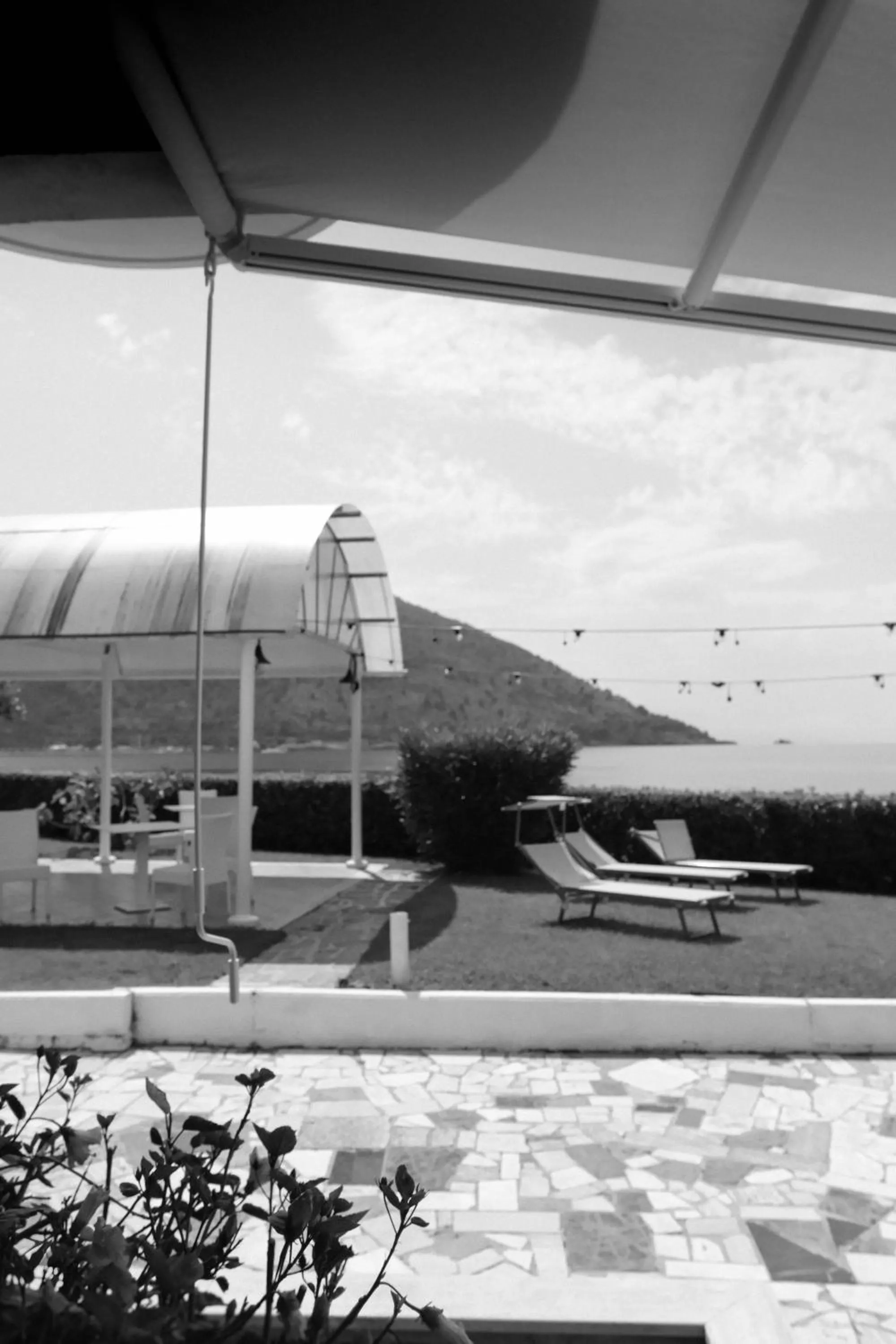 Garden in Hotel Mediterraneo Sapri