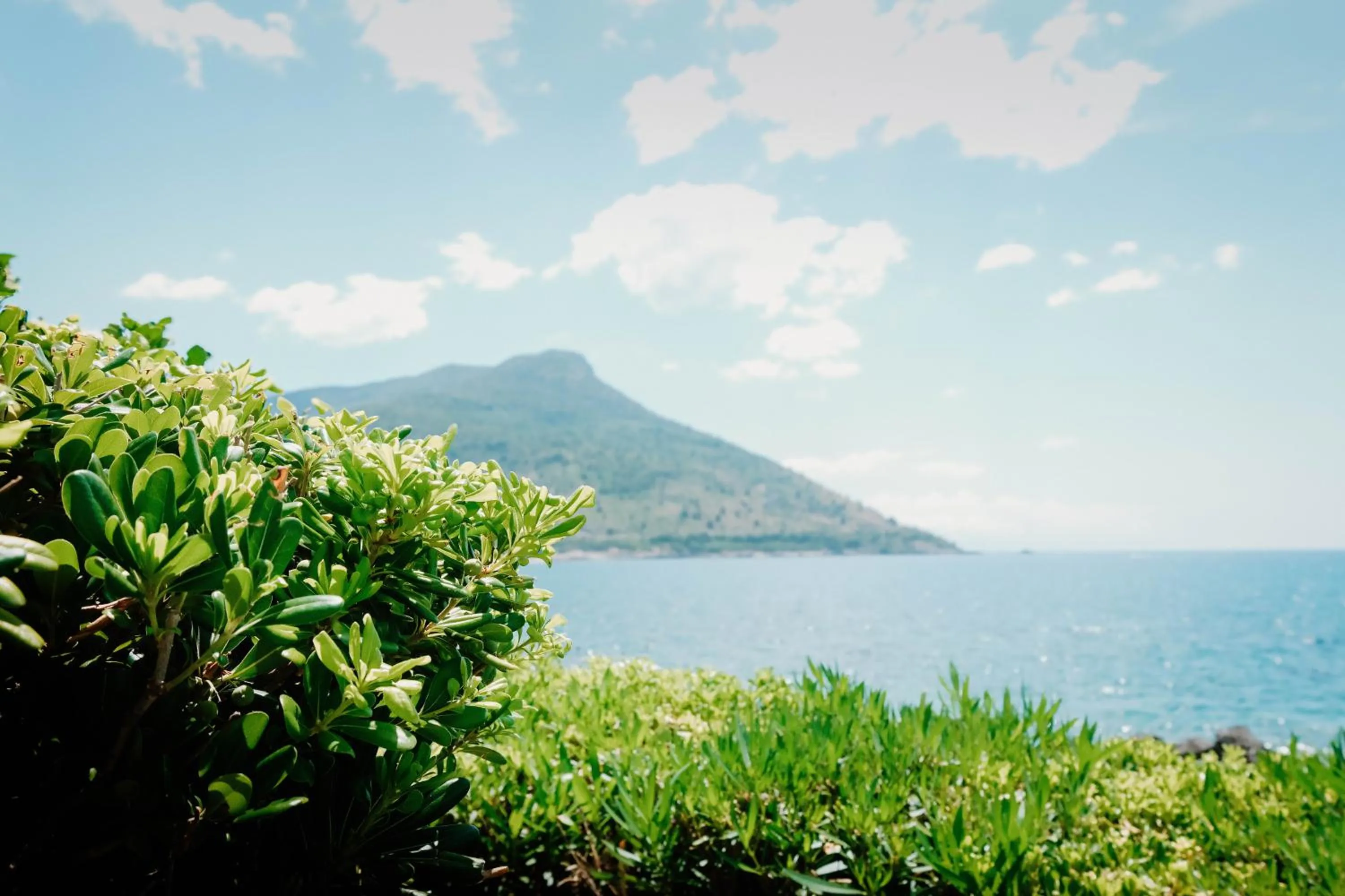 Garden view in Hotel Mediterraneo Sapri