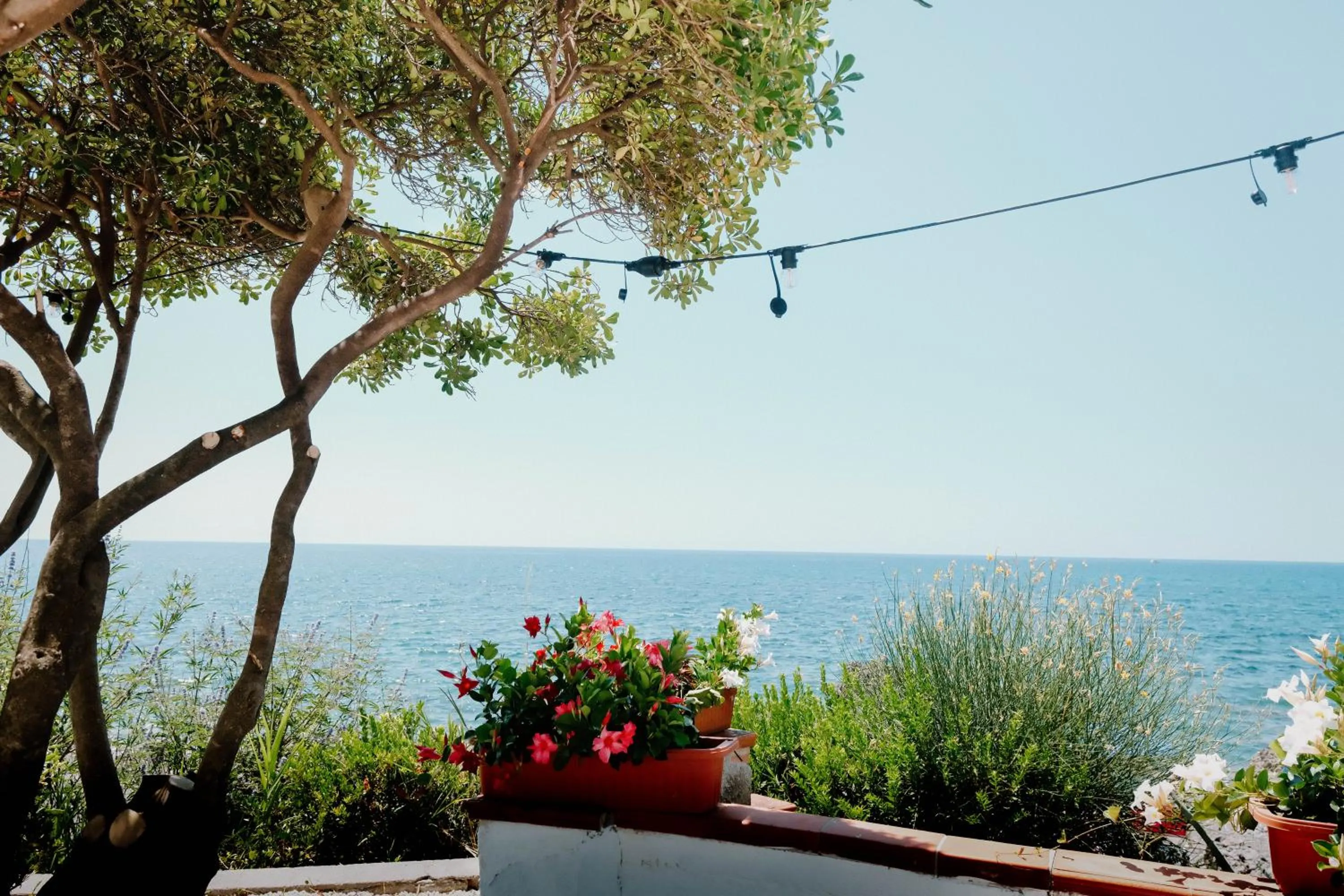 Garden in Hotel Mediterraneo Sapri