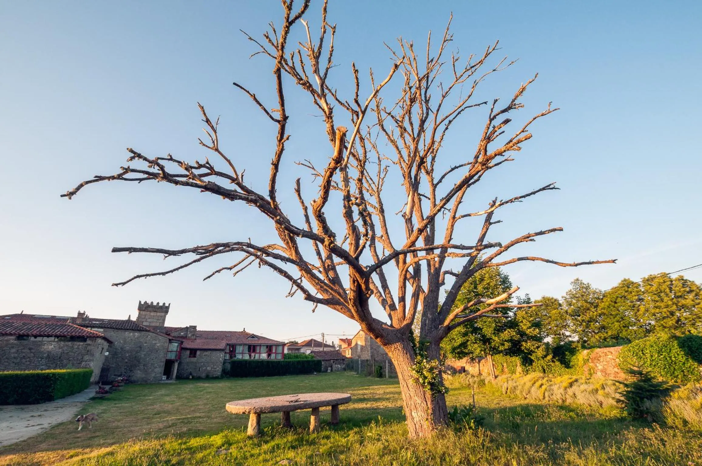 Day in Casa Grande de Rosende