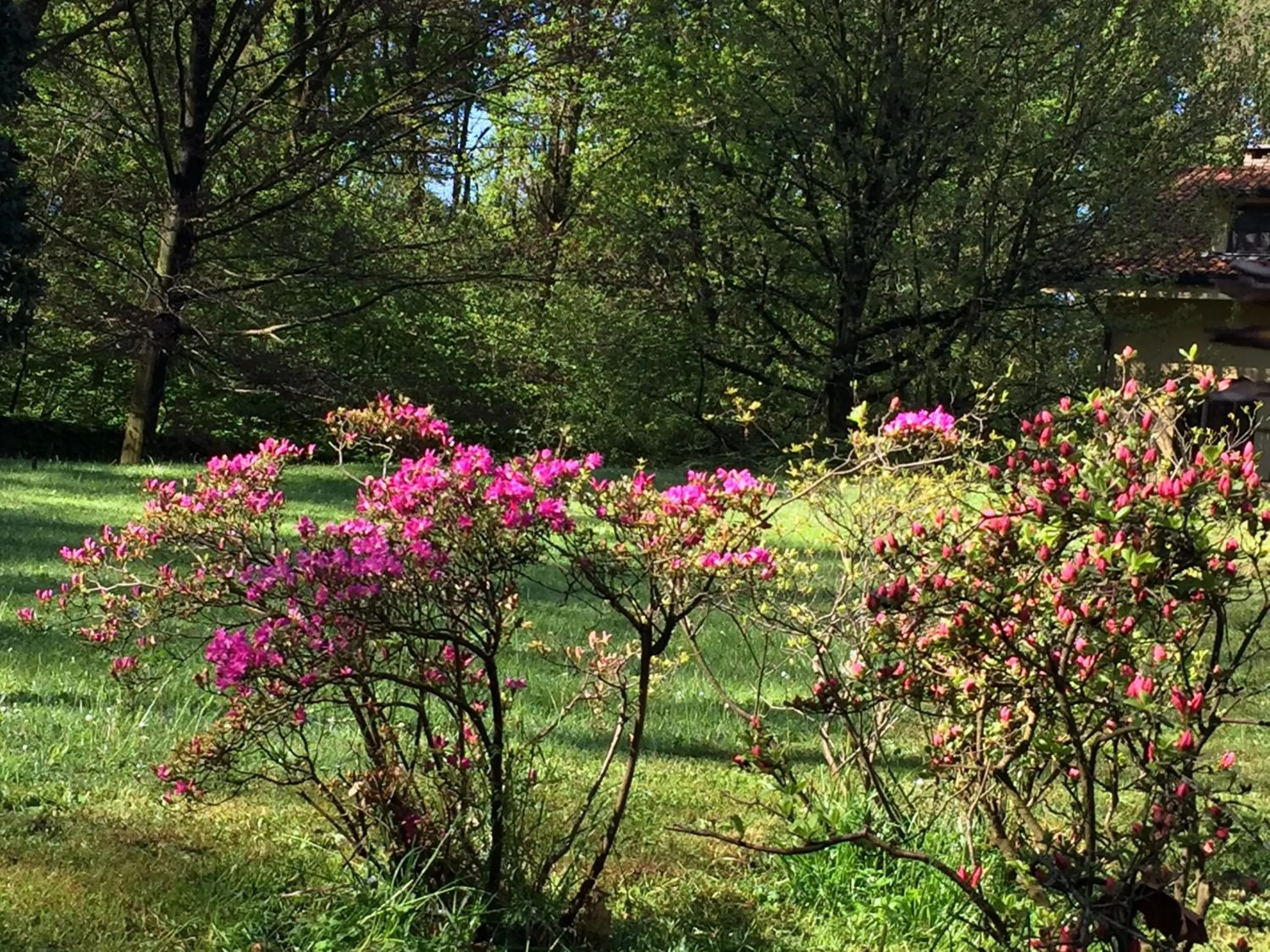 Seasons in Bed&Garden