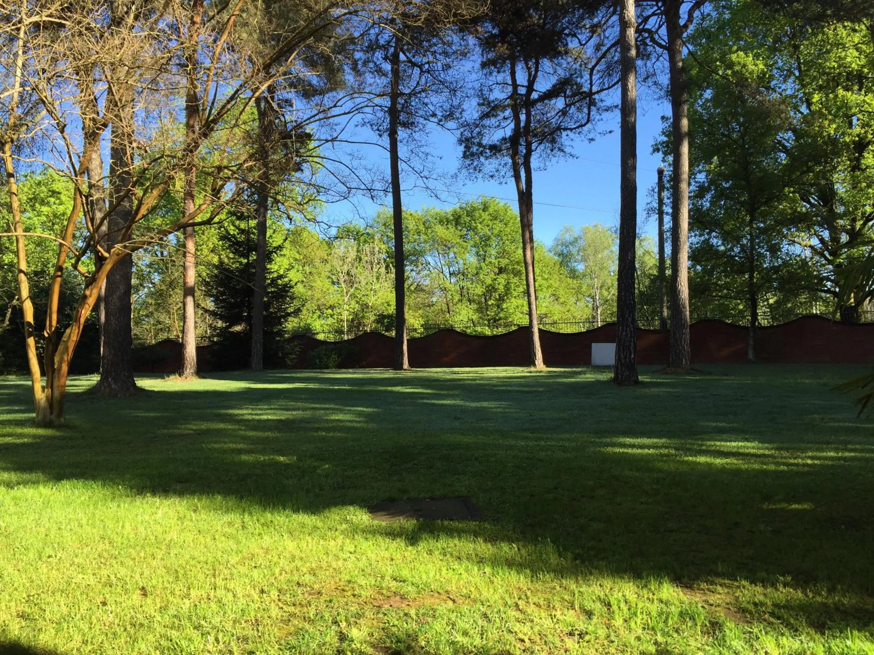 Garden in Bed&Garden