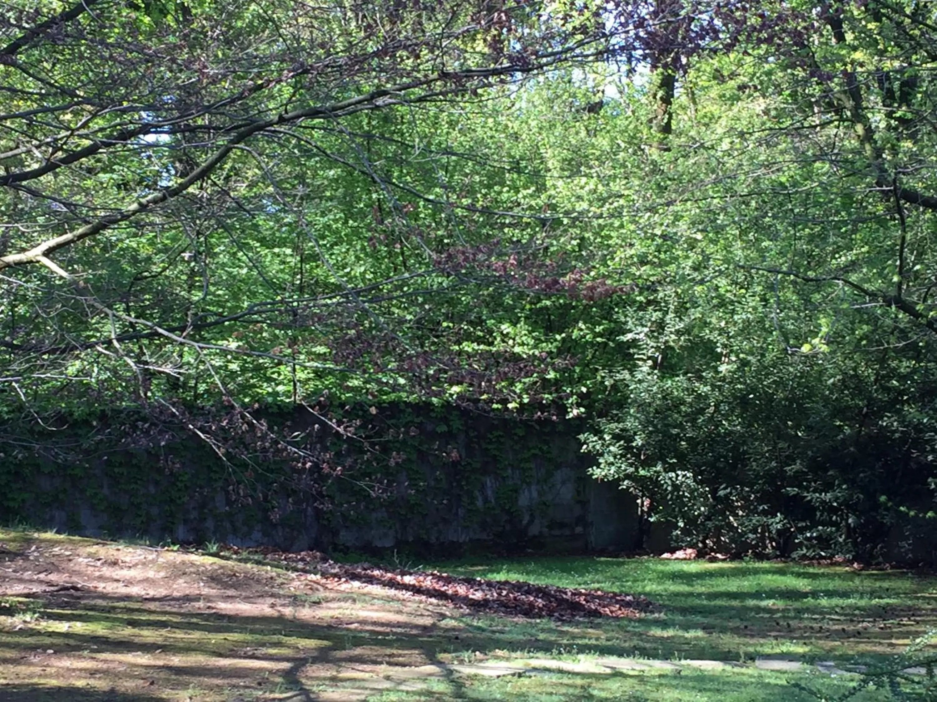 Seasons in Bed&Garden