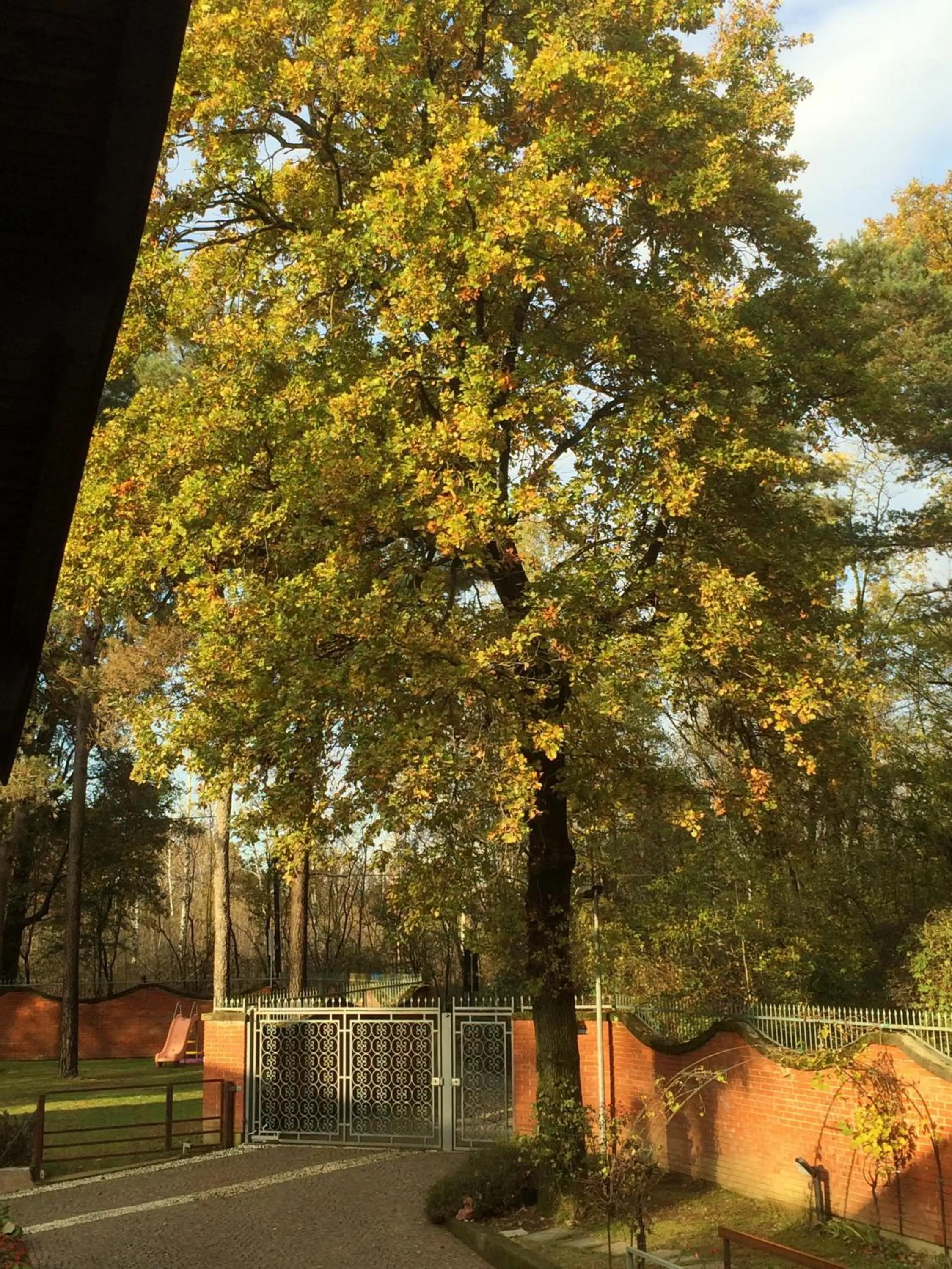 Facade/entrance in Bed&Garden