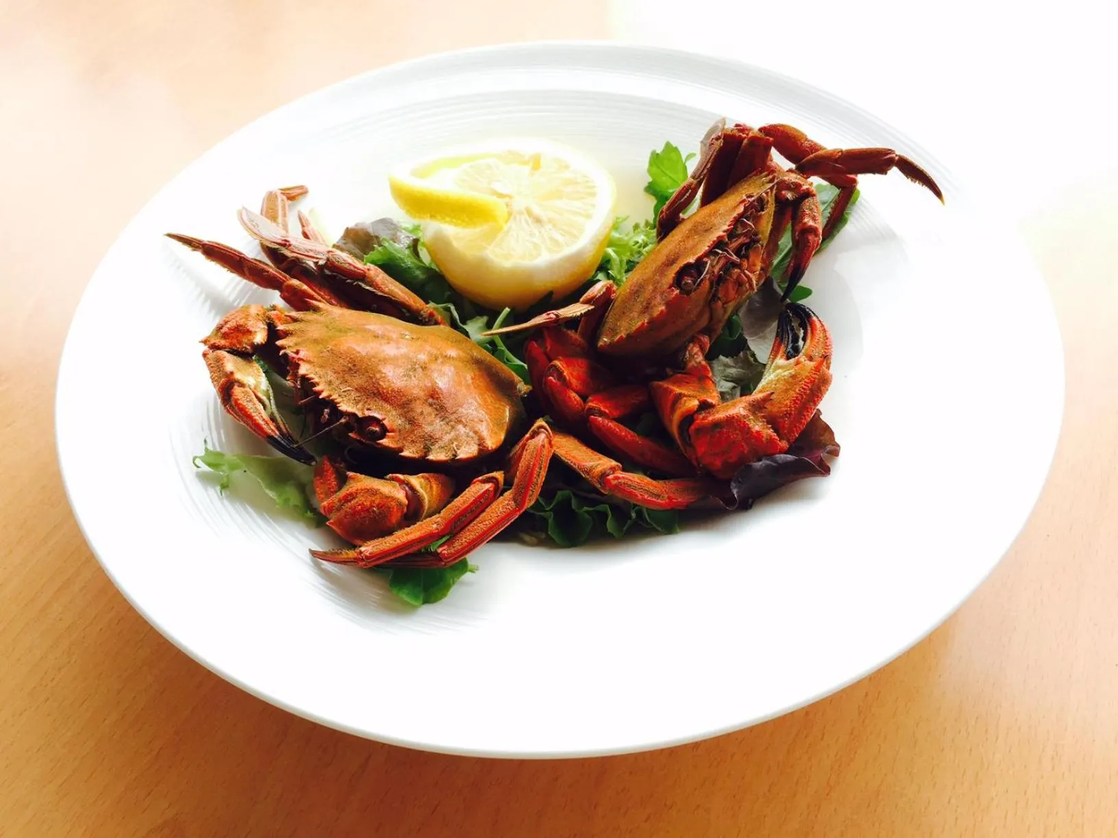 Food close-up in Hotel Las Olas