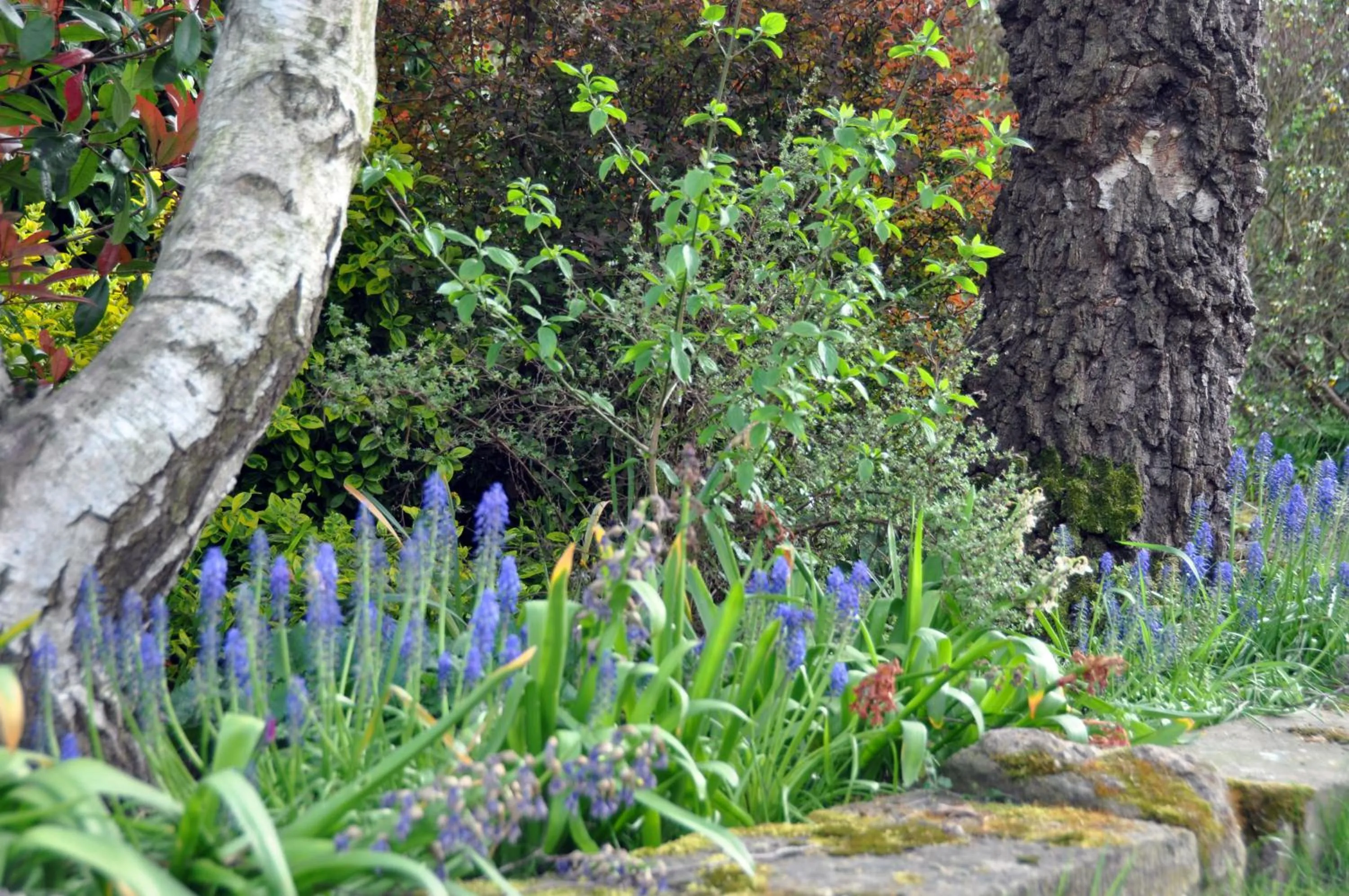 Garden view in Bridleways Guesthouse & Holiday Homes