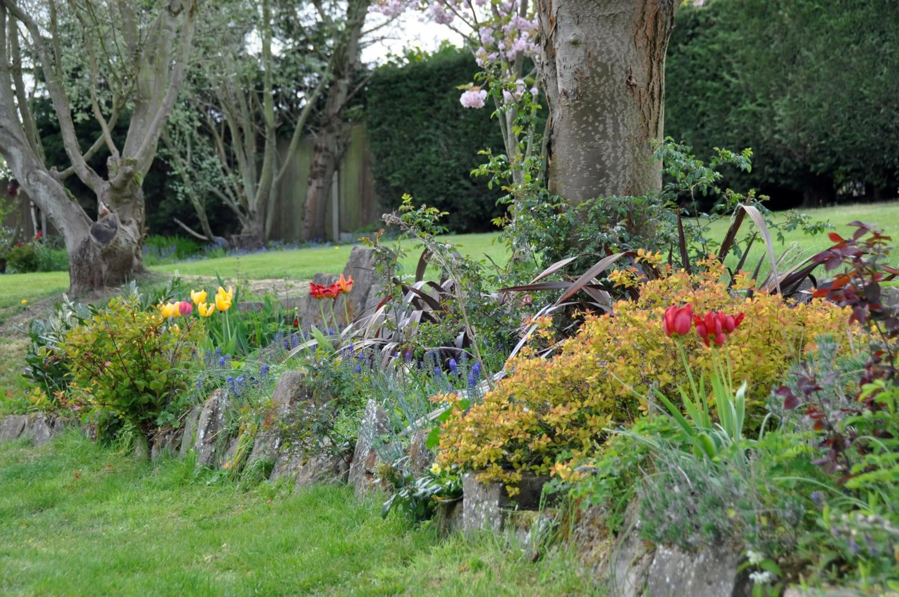Garden view in Bridleways Guesthouse & Holiday Homes