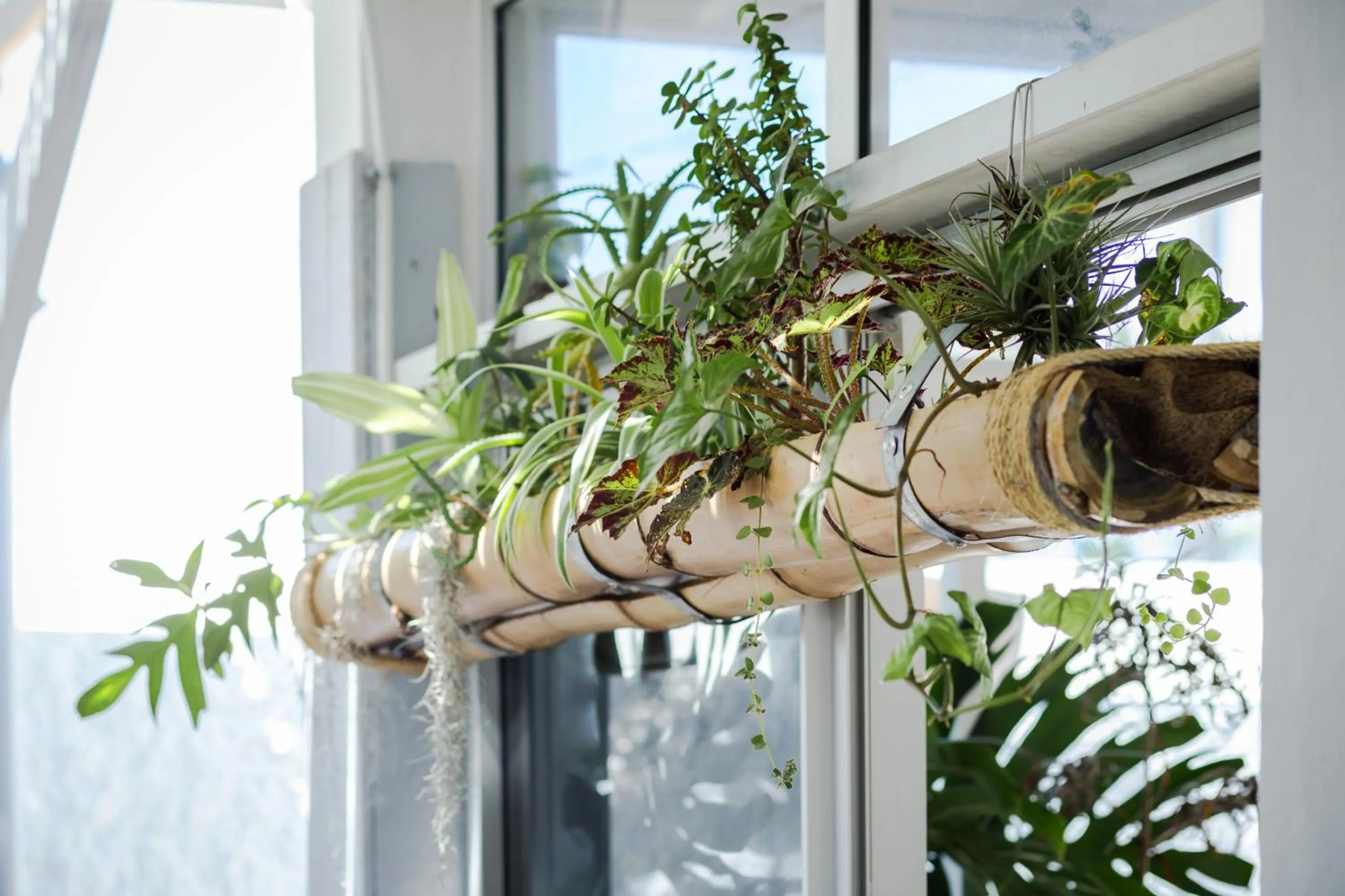 Restaurant/places to eat in Hôtel Le Grand Bleu