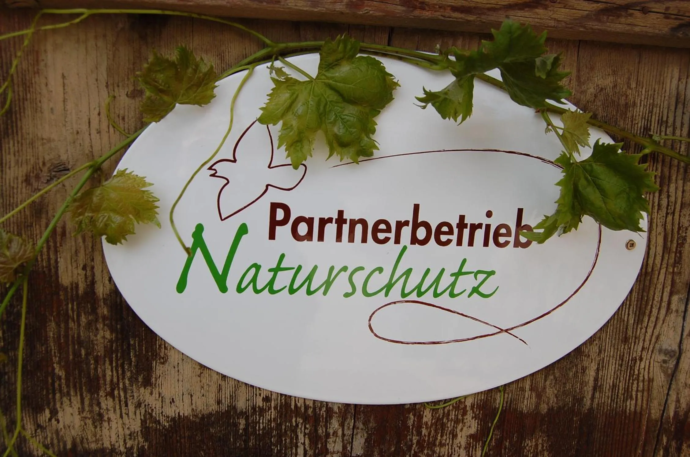 HEINRICHs winery bed & breakfast