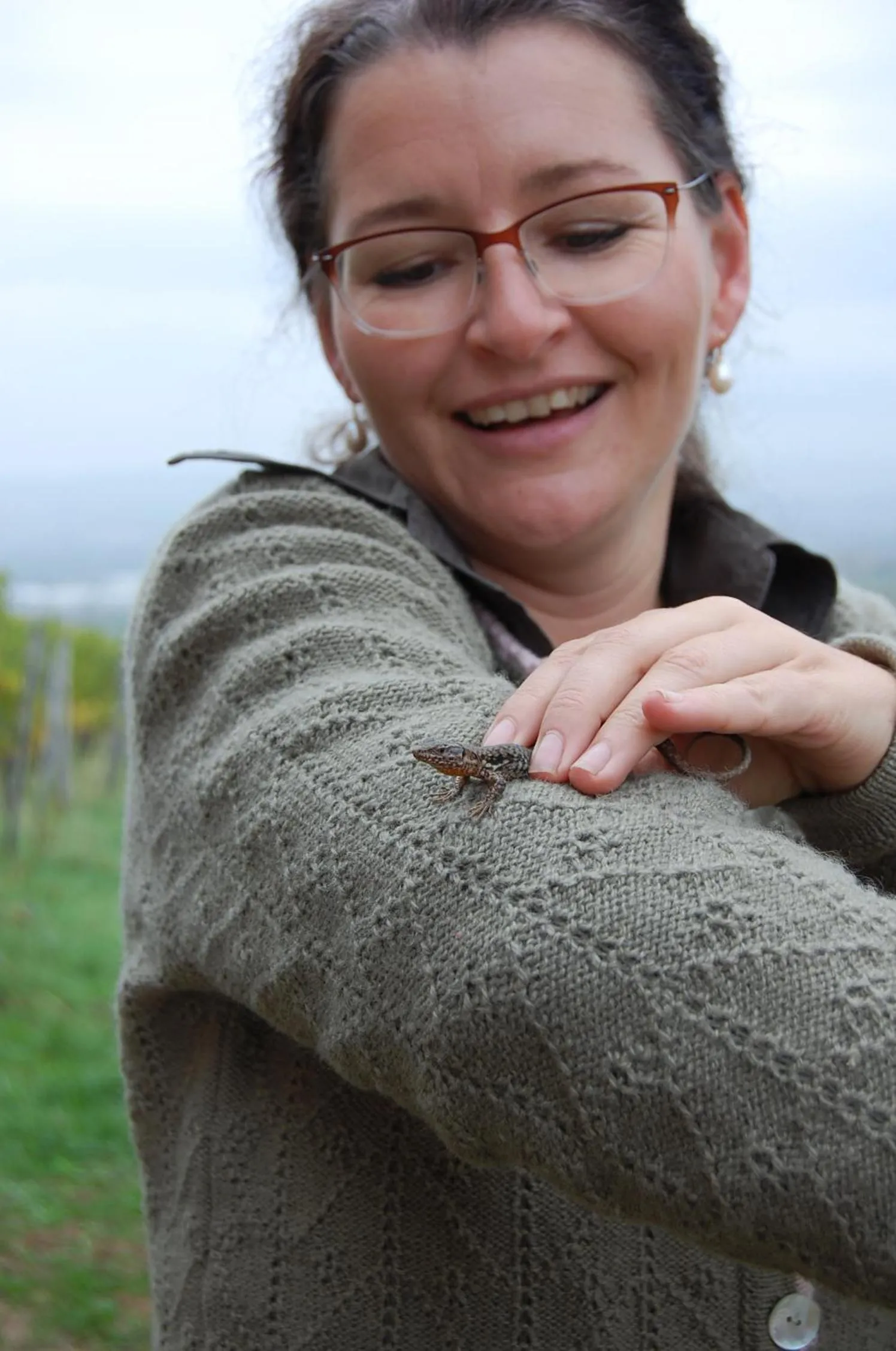 Activities in HEINRICHs winery bed & breakfast