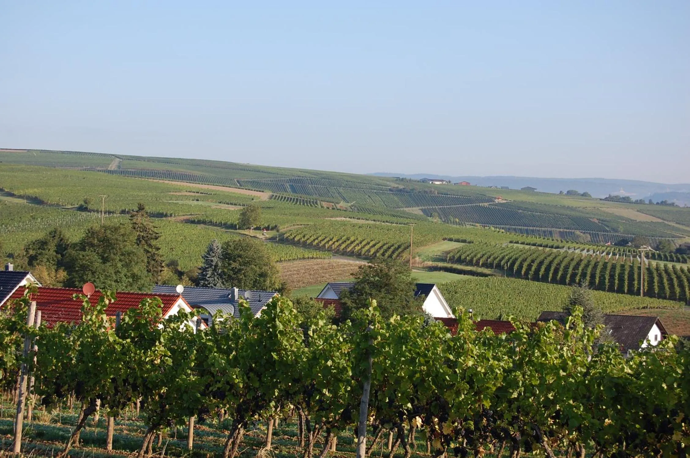 Activities in HEINRICHs winery bed & breakfast