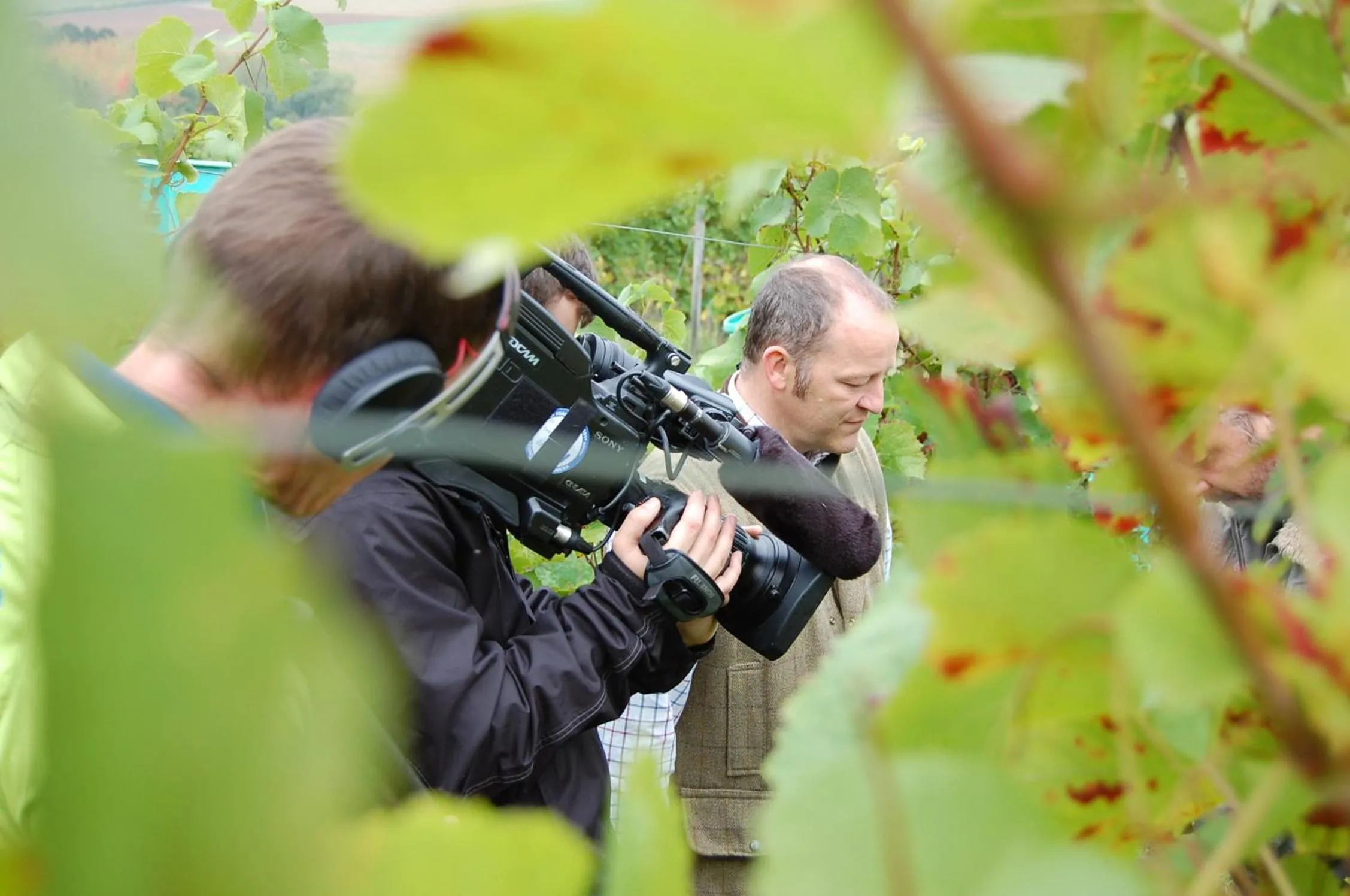 Activities in HEINRICHs winery bed & breakfast