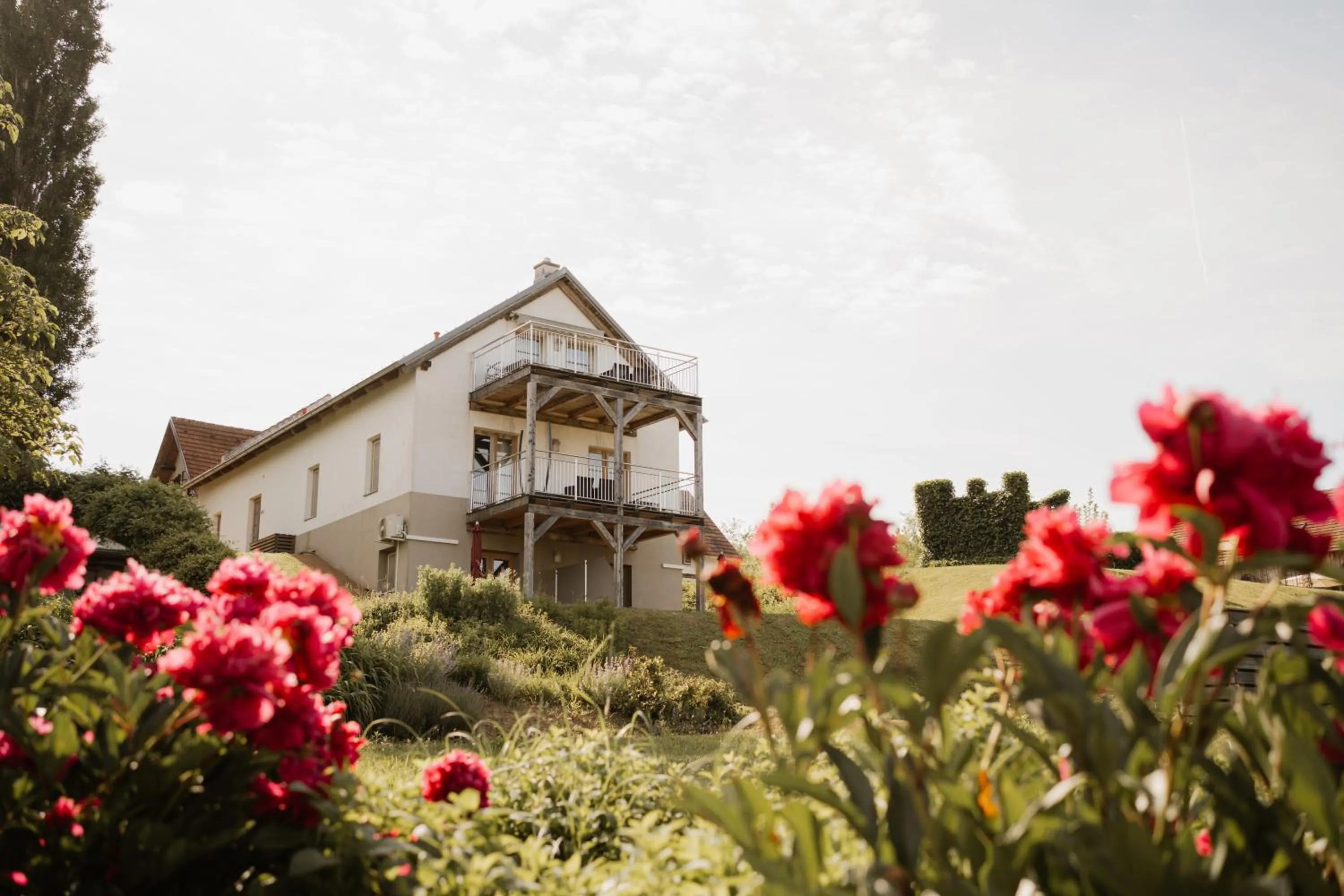 Property building in Das Eisenberg