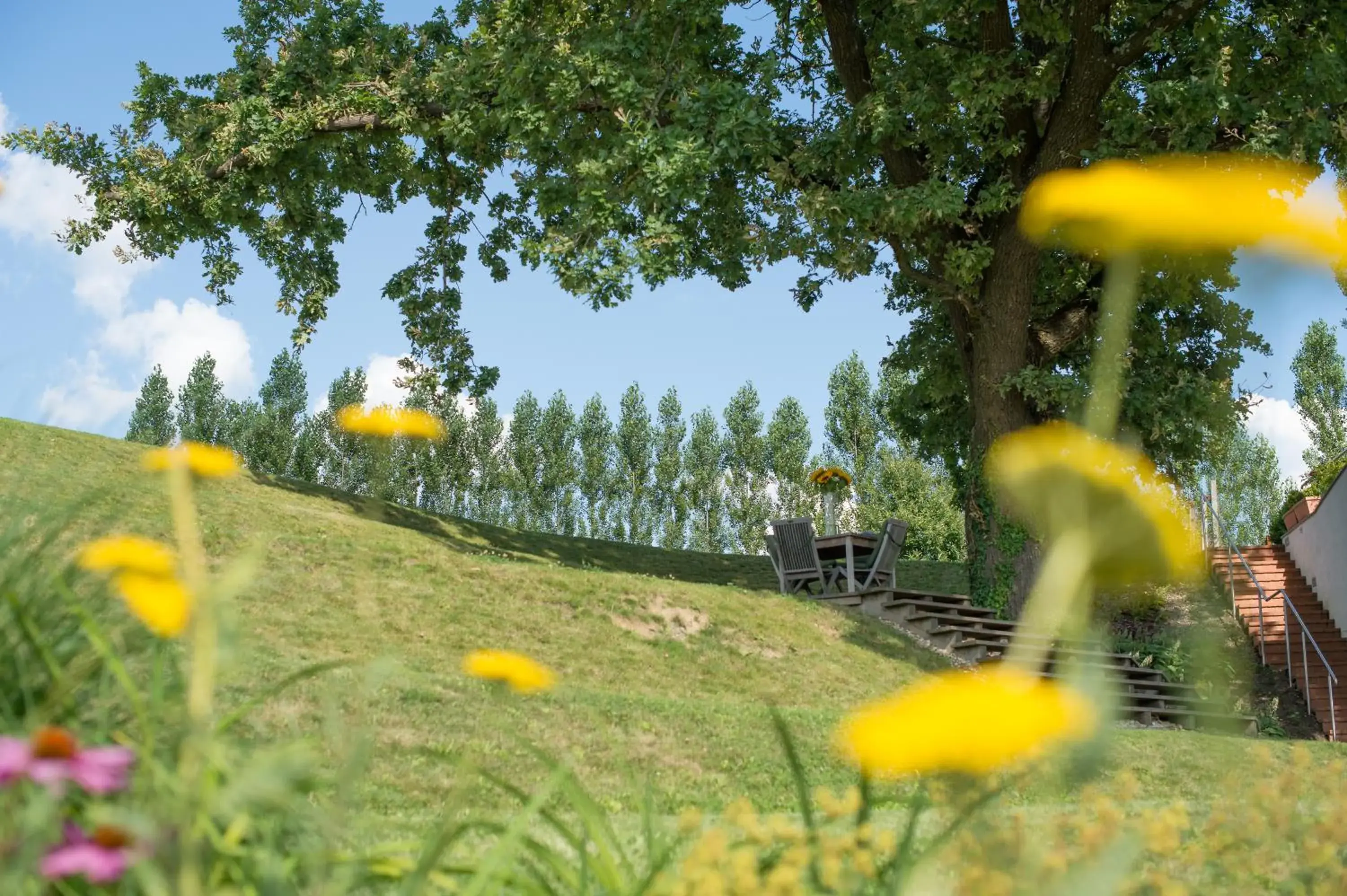 Garden in Das Eisenberg