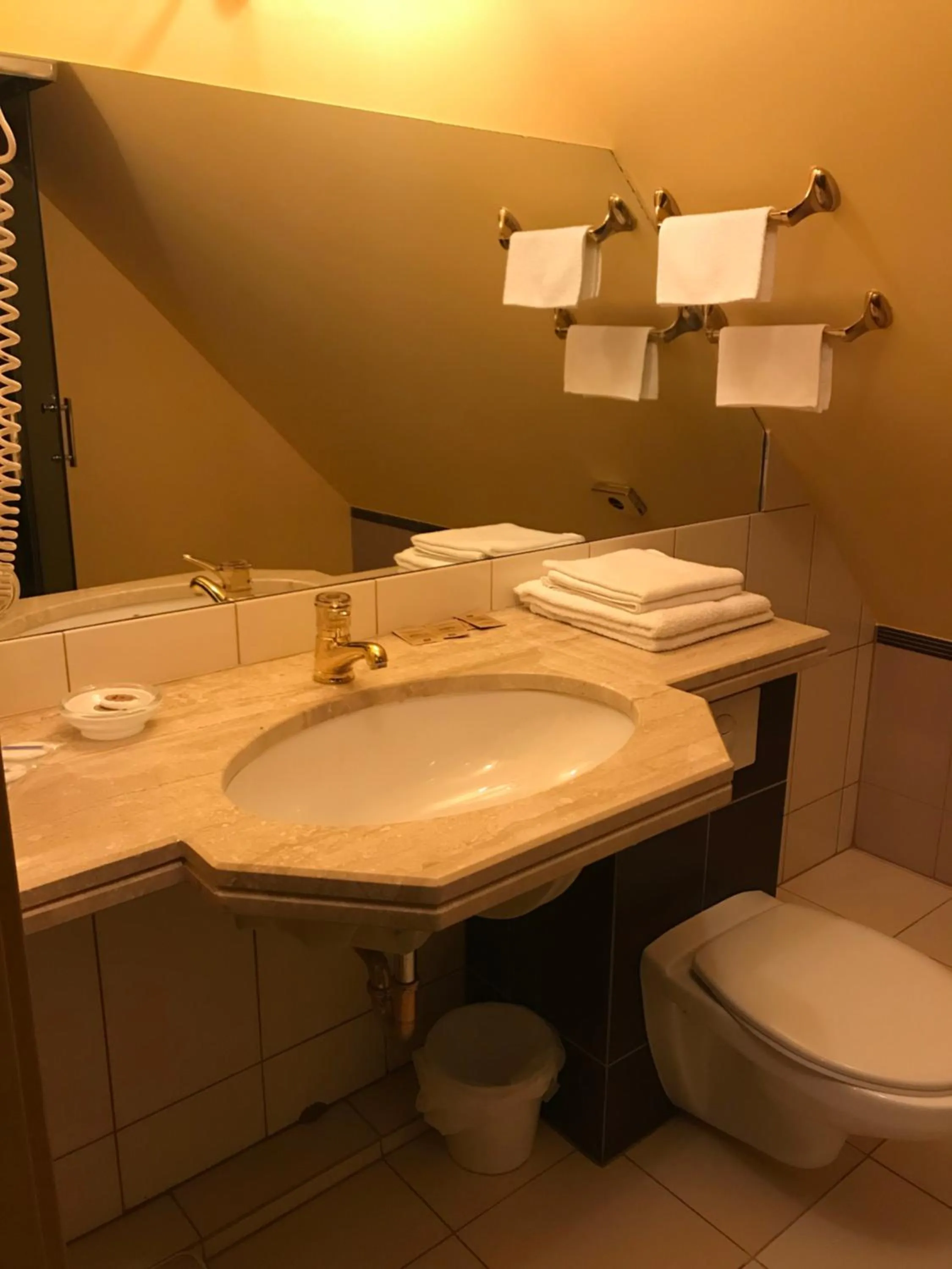 Toilet in Hotel Podzamcze