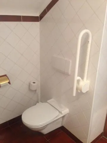 Toilet in Hotel Pension Alte Mühle