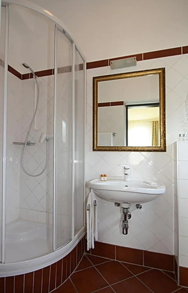 Shower in Hotel Pension Alte Mühle