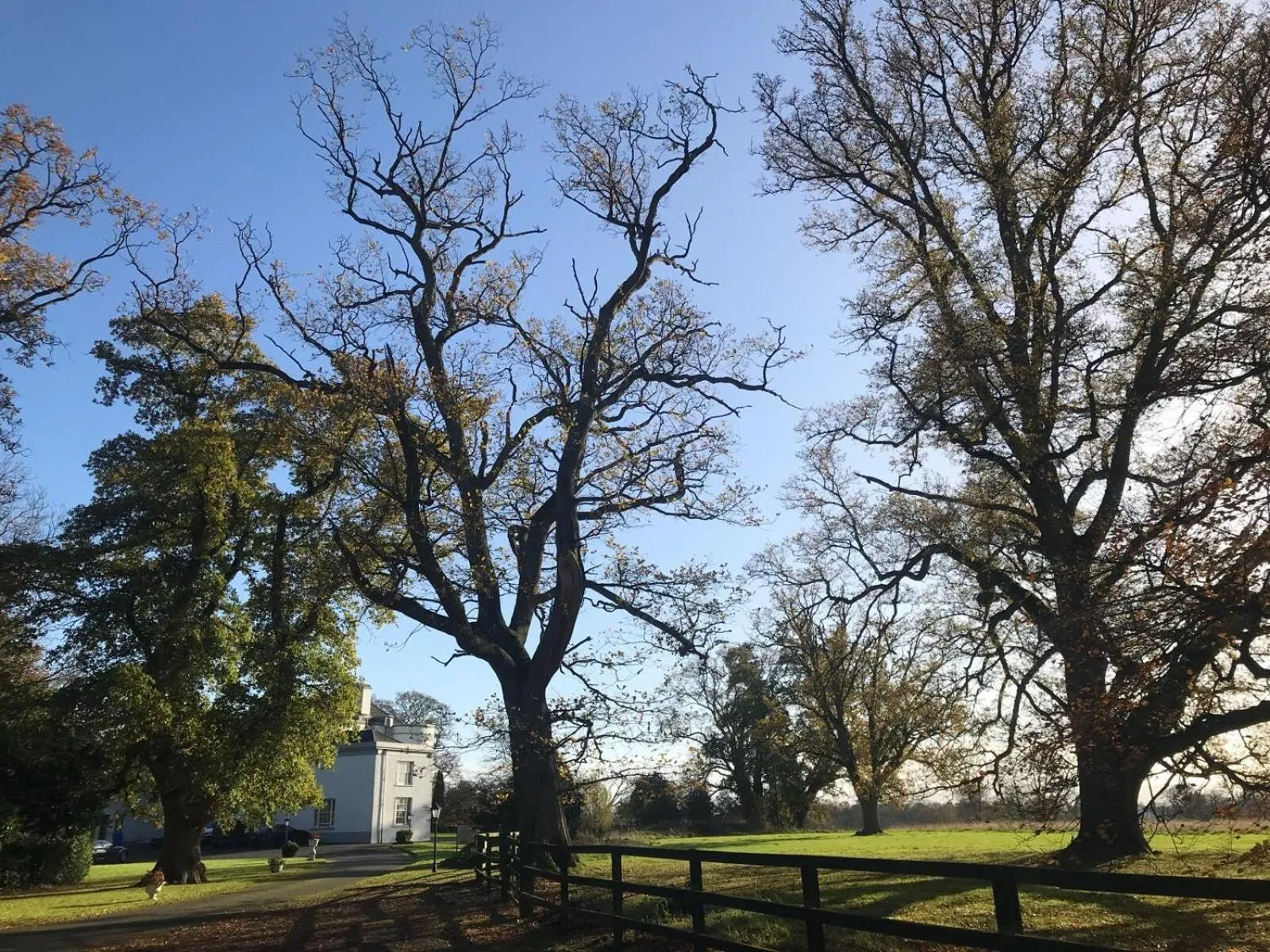Natural landscape in Leixlip Manor Hotel