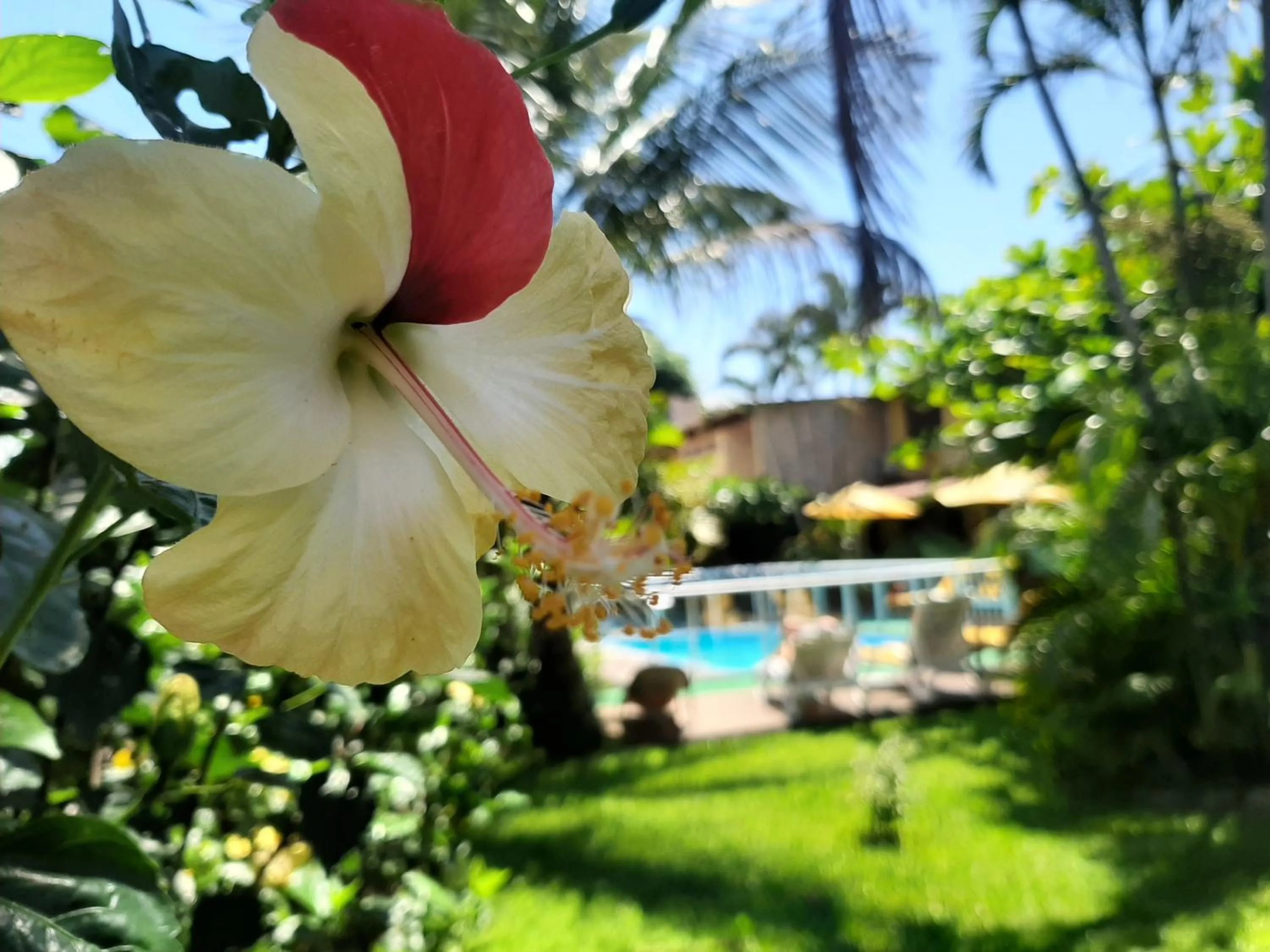 Garden in Pousada Palhocinha Garopaba