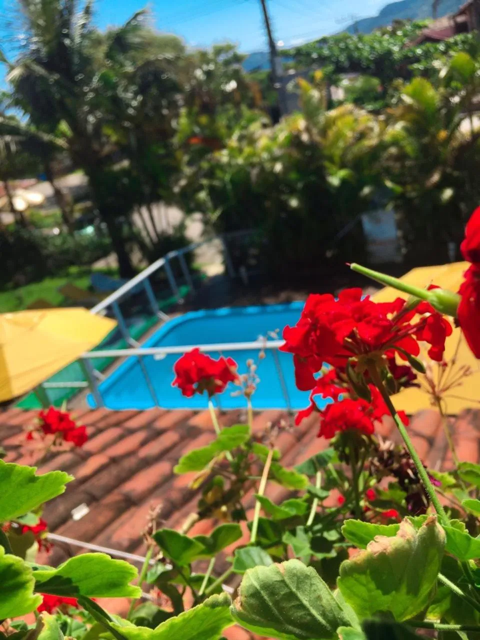 Garden in Pousada Palhocinha Garopaba