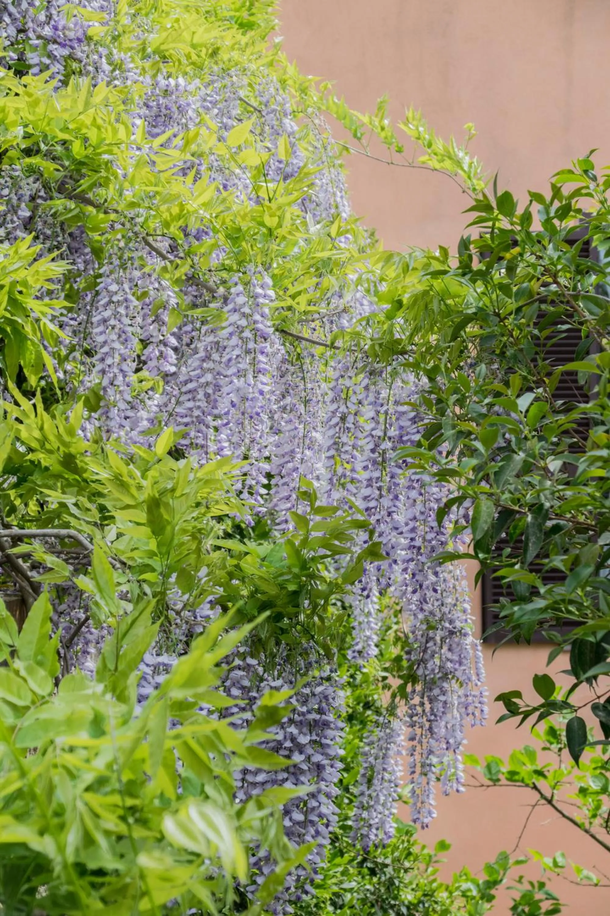 B&B Le Buche Casa Storica