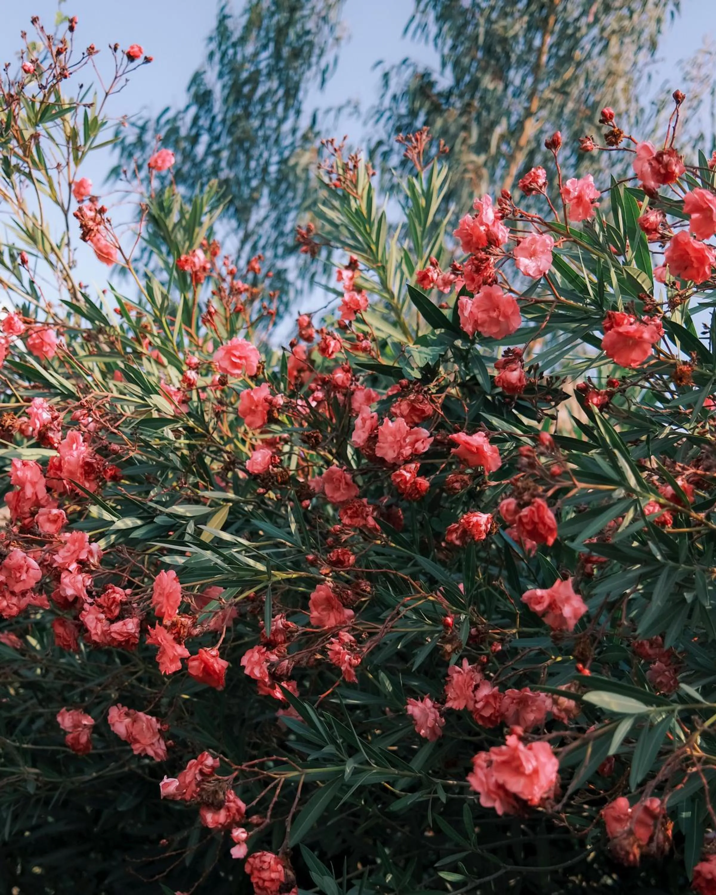 Activities in Rio Sagrado, A Belmond Hotel, Sacred Valley