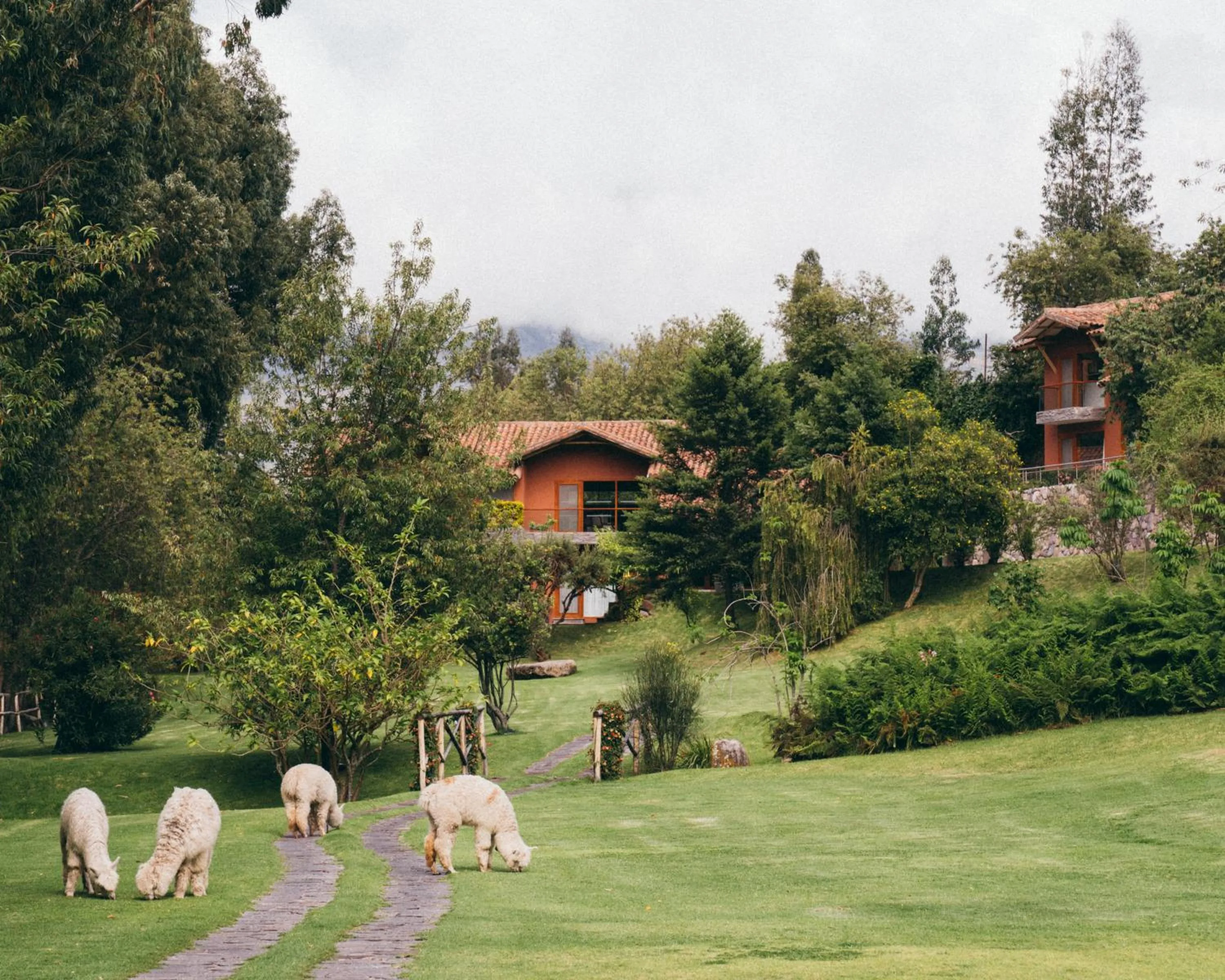 Natural landscape in Rio Sagrado, A Belmond Hotel, Sacred Valley