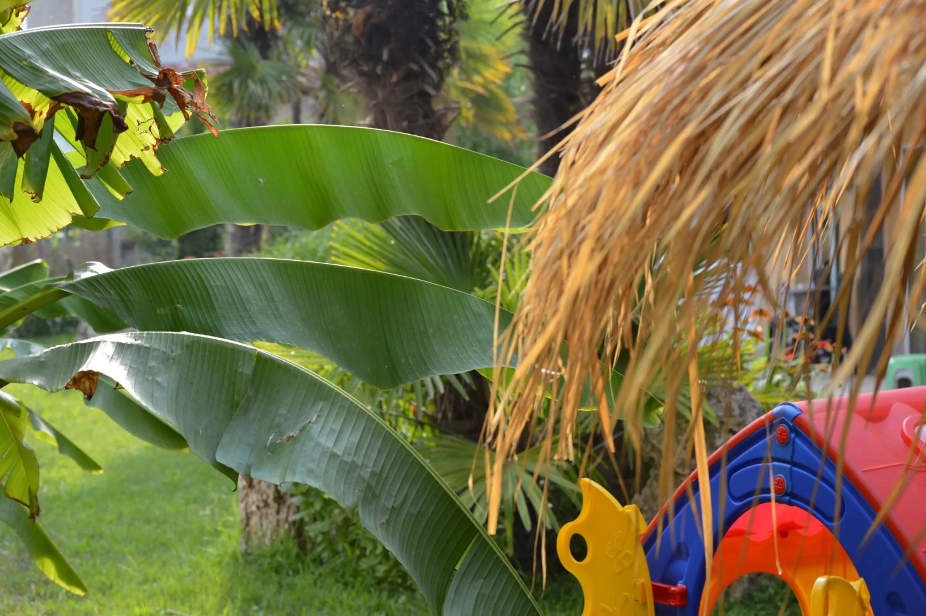 Children play ground in Lilalo Ηotel
