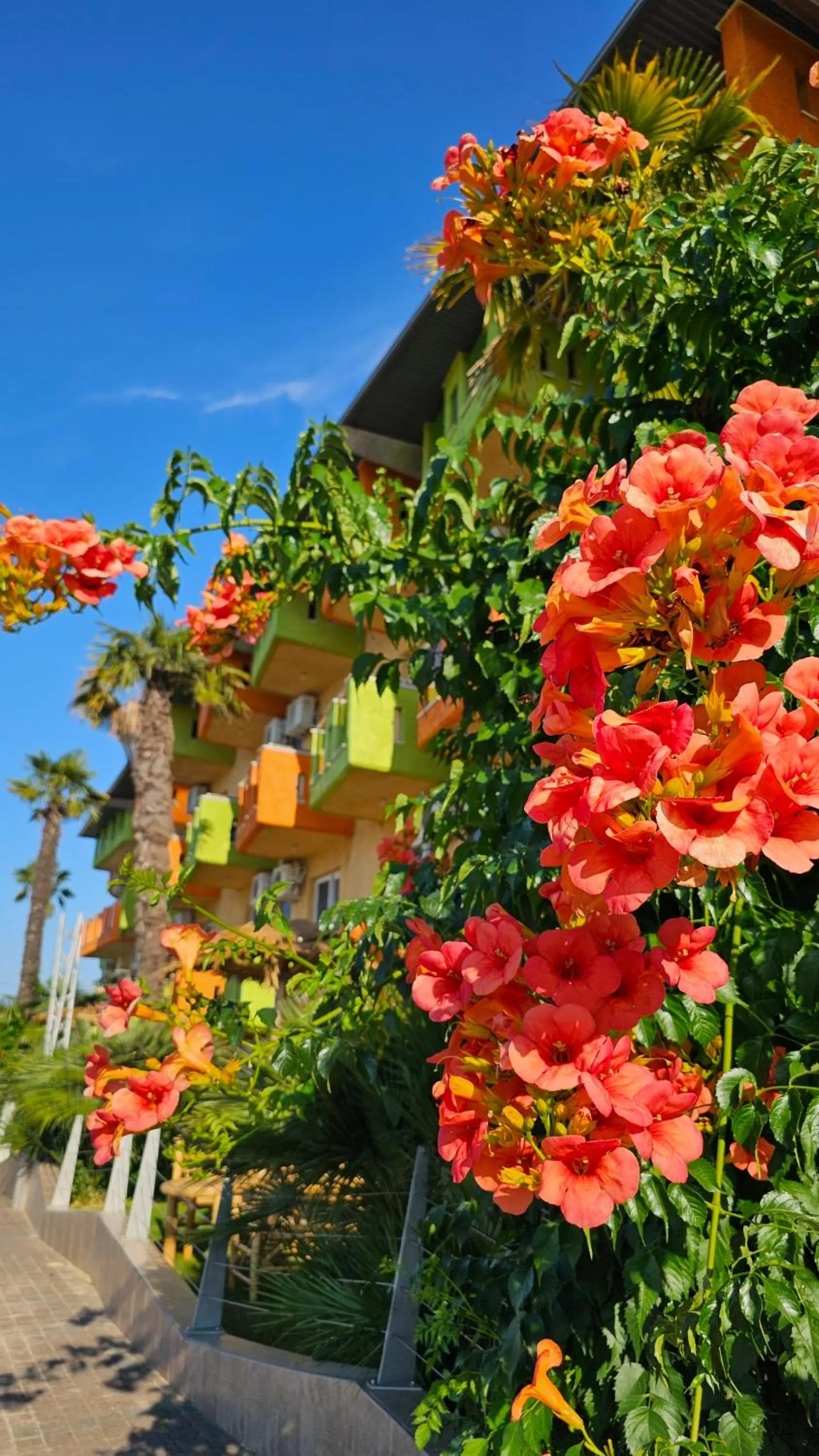 Property building in Lilalo Ηotel