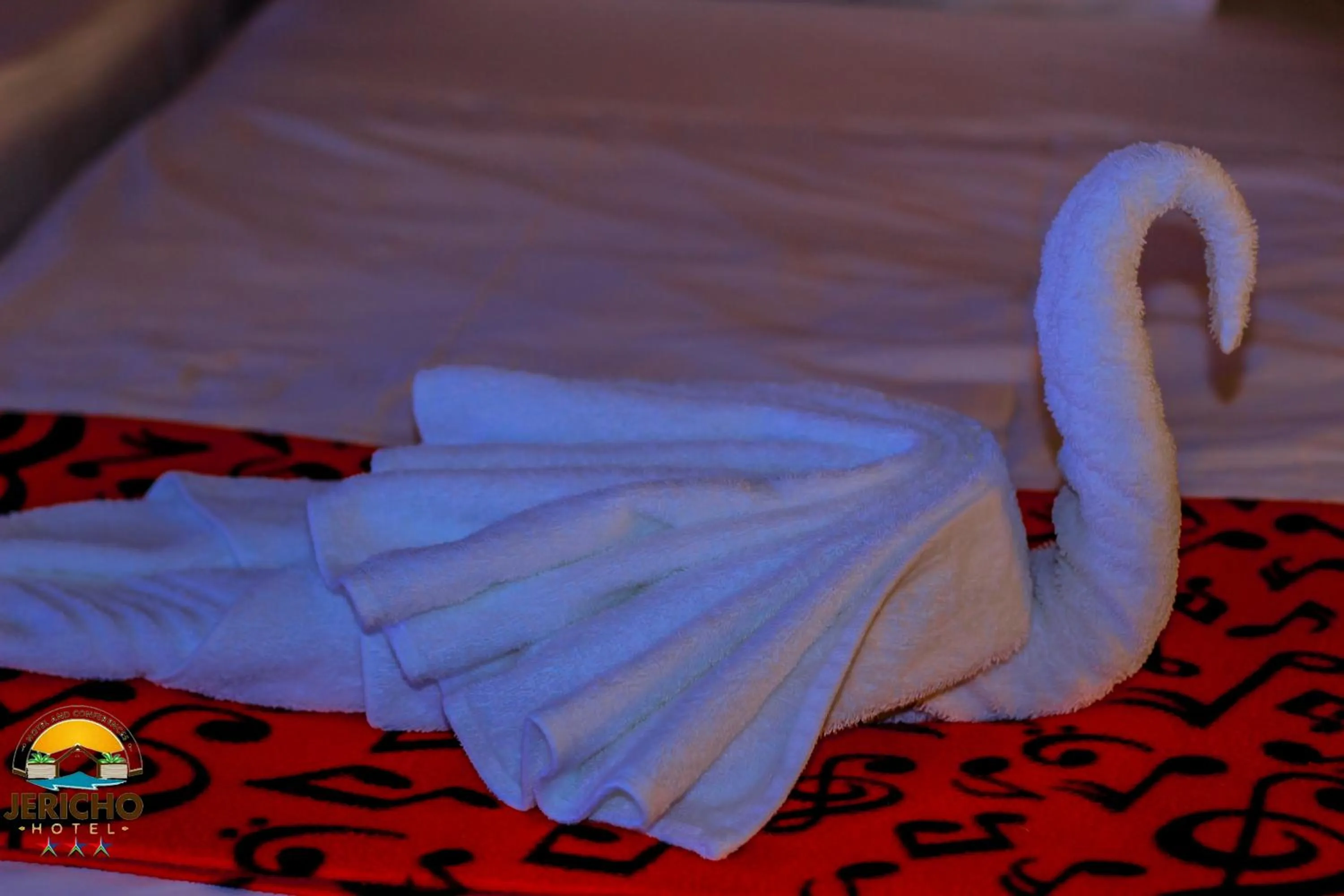 towels in Jericho Hotel and Conferences