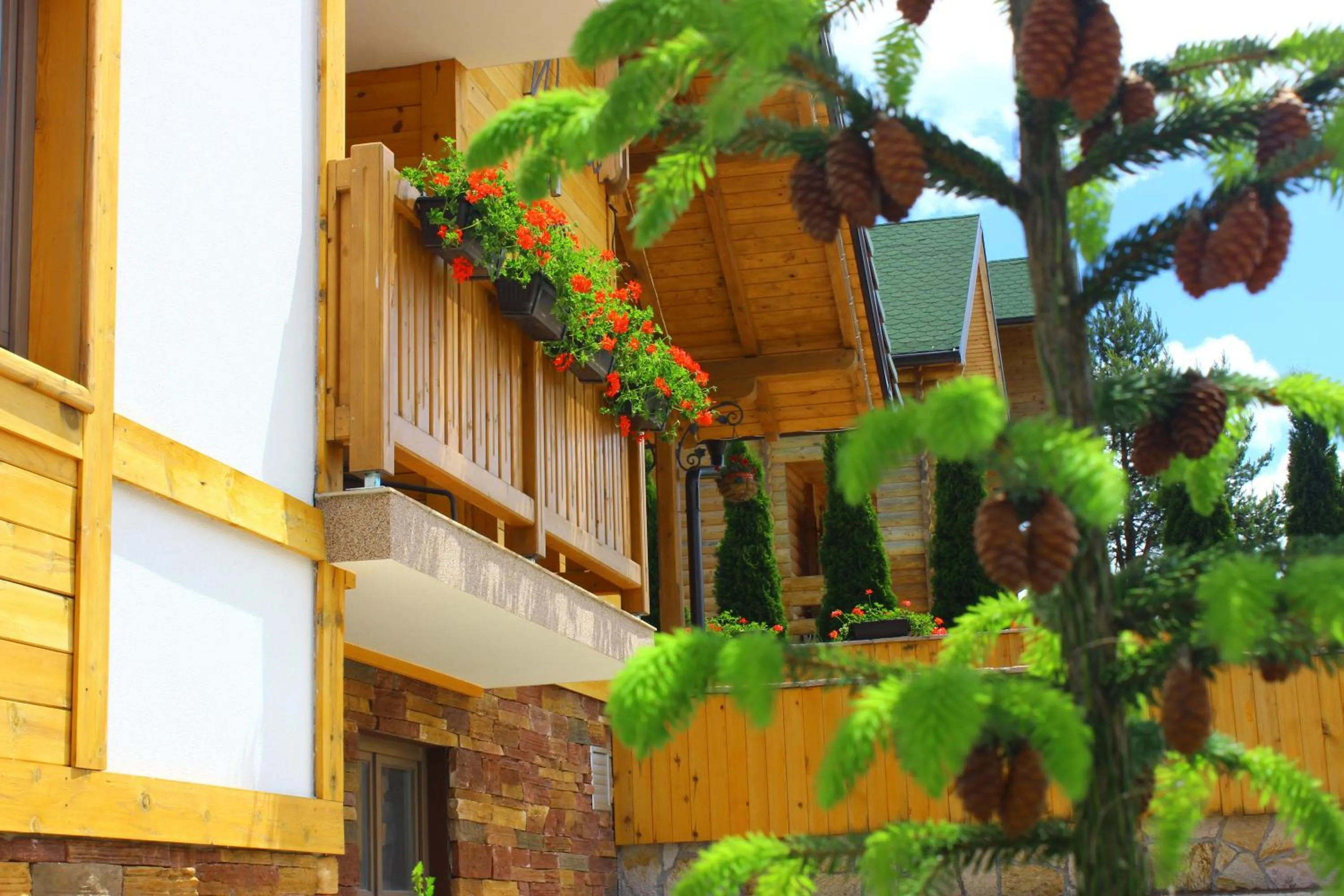 Garden in Villa Natural Wood