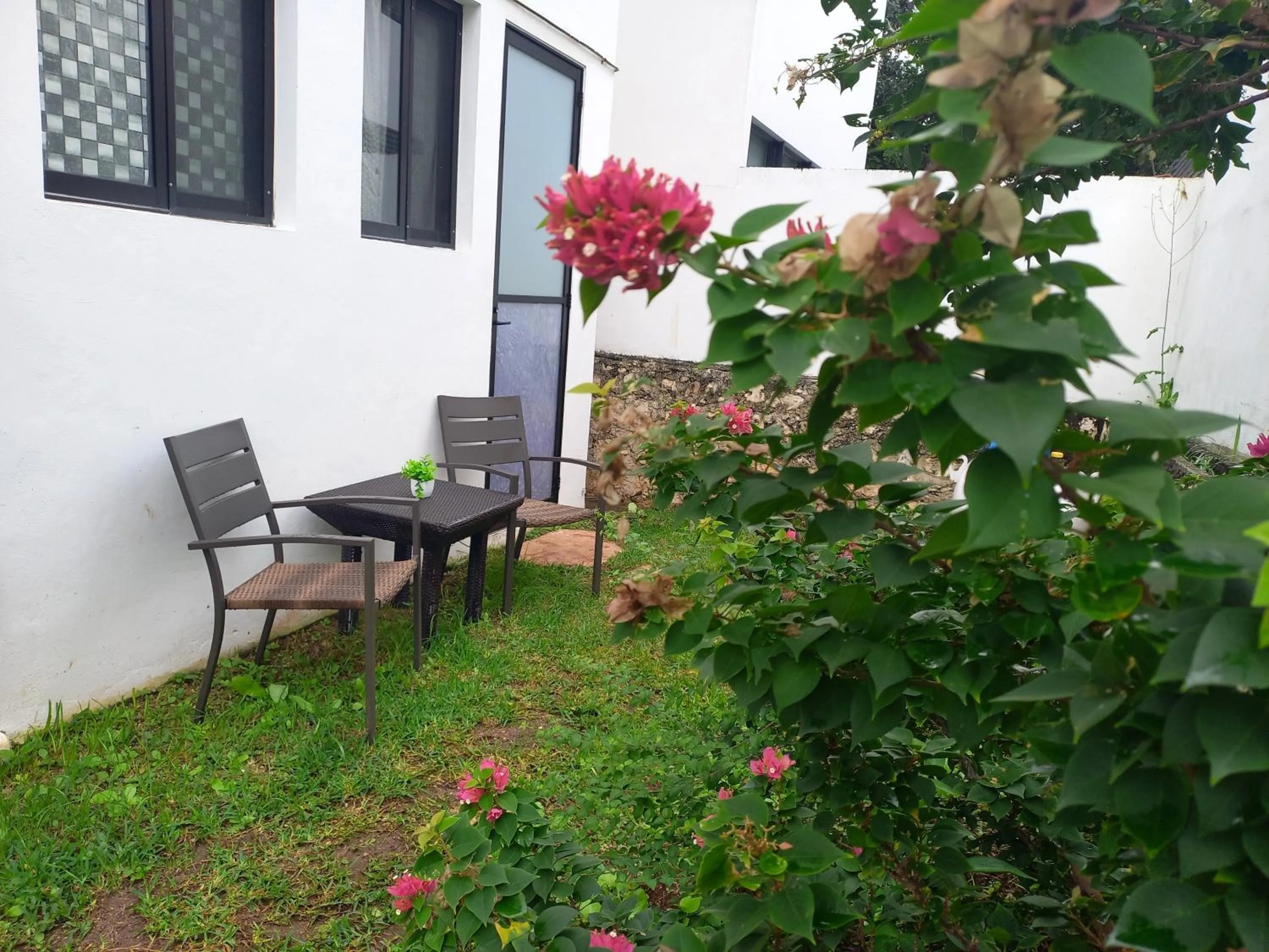 Garden in AMAXING Cancun Airport