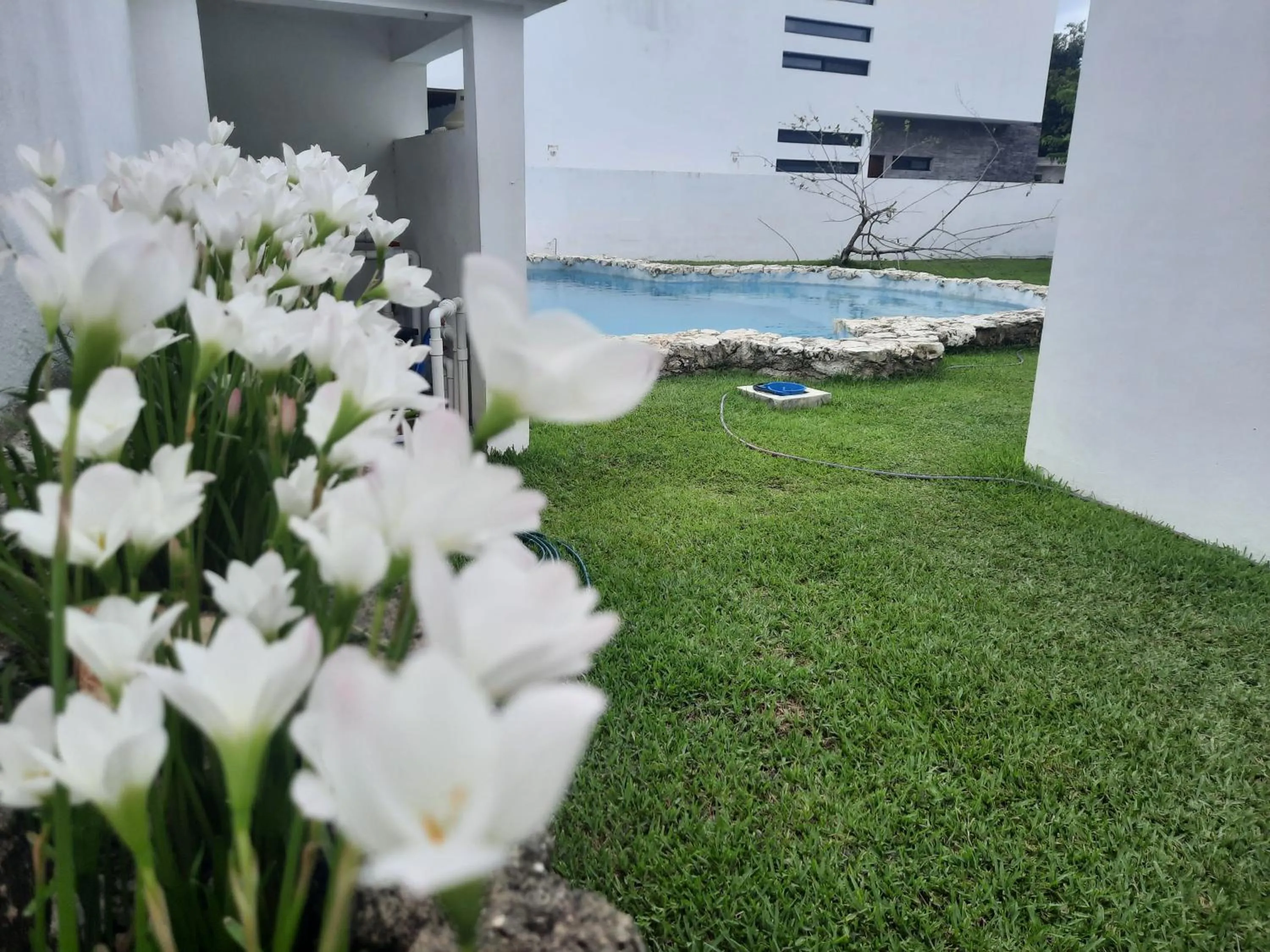 Garden in AMAXING Cancun Airport