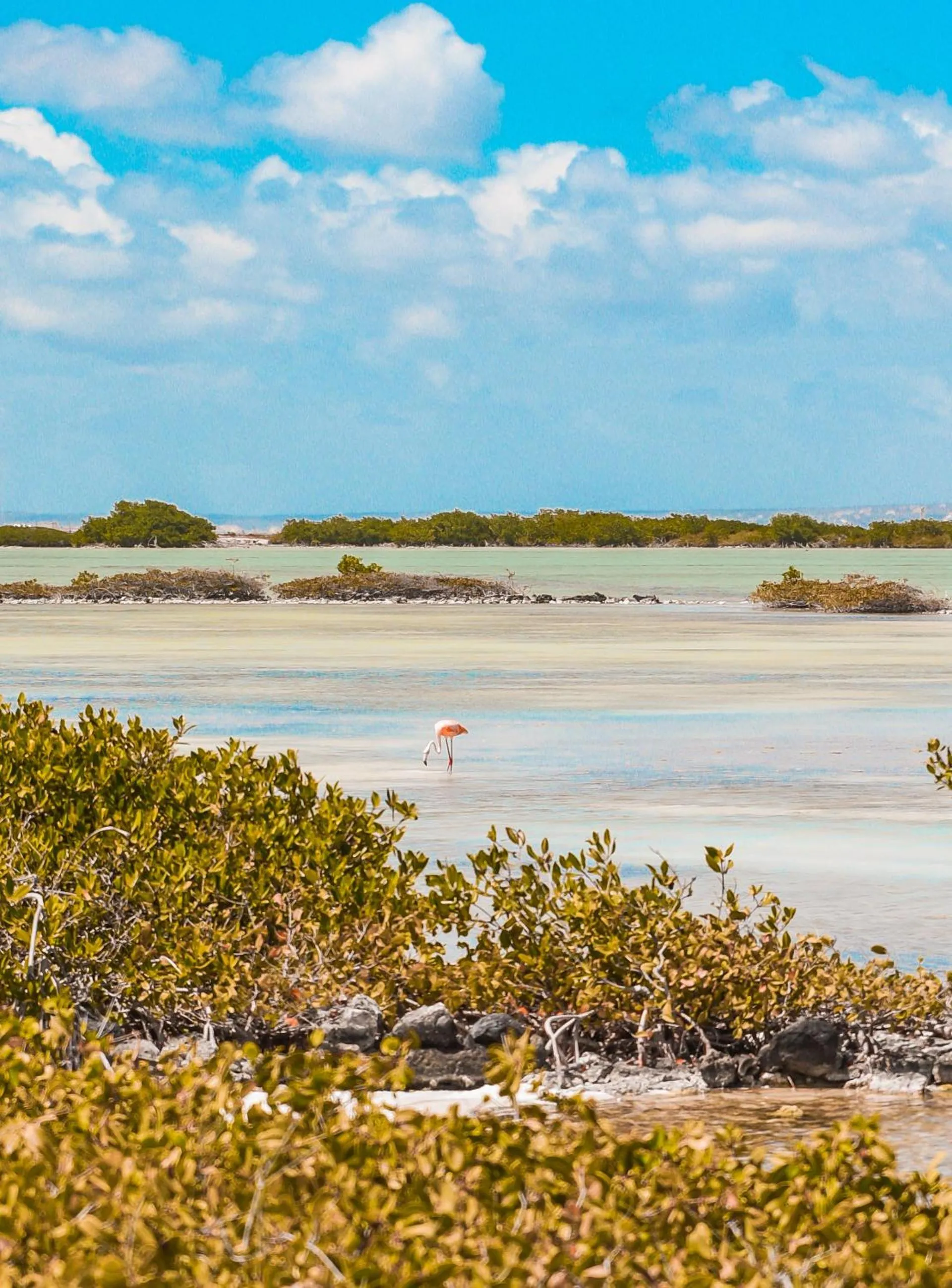 Natural landscape in Sorobon Luxury Beach Resort