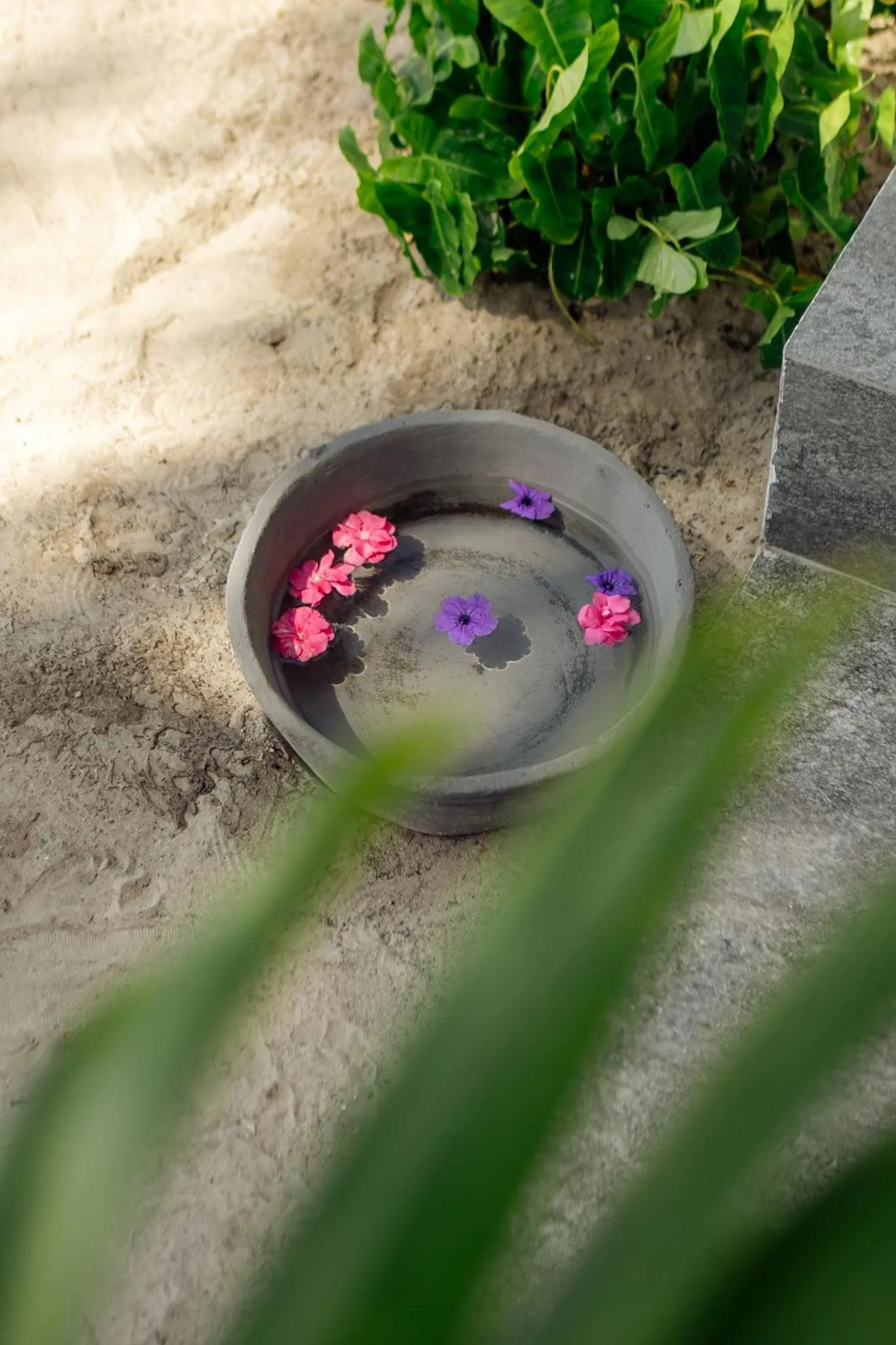 Garden in Savera Beach Houses