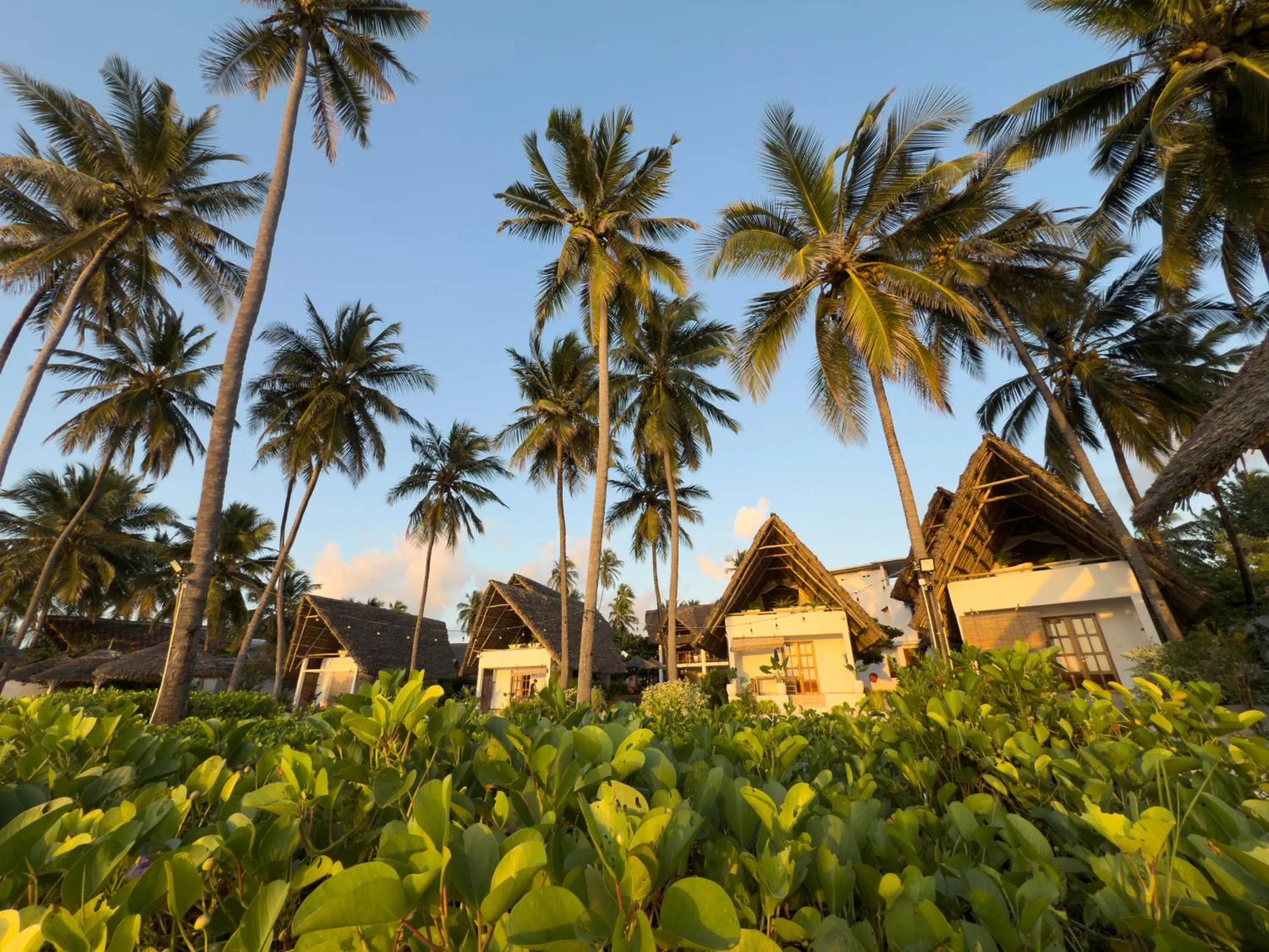 Facade/entrance in Savera Beach Houses