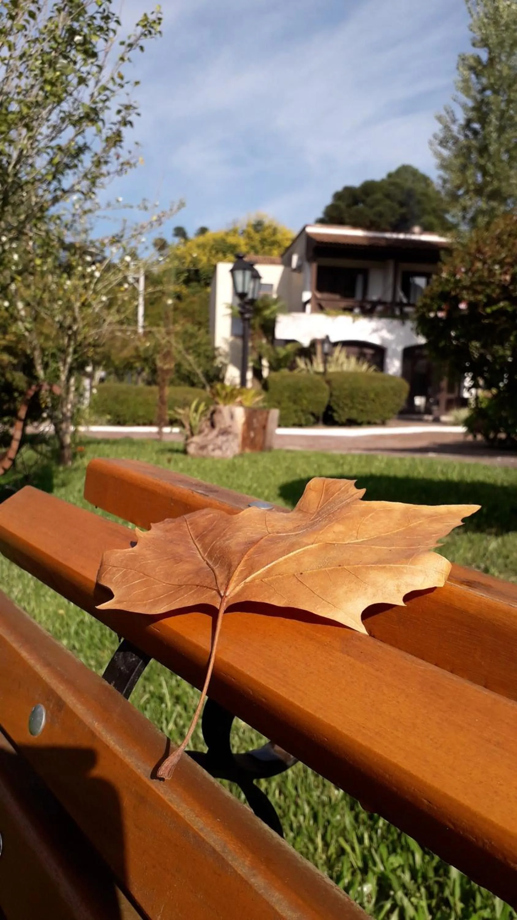 Garden in Vila Suzana Parque Hotel