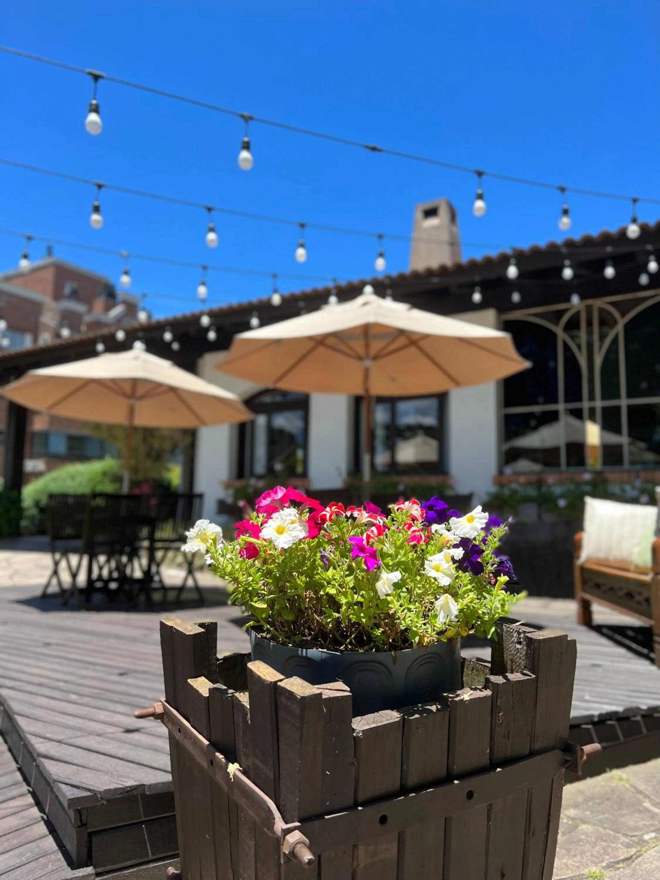 Garden in Vila Suzana Parque Hotel