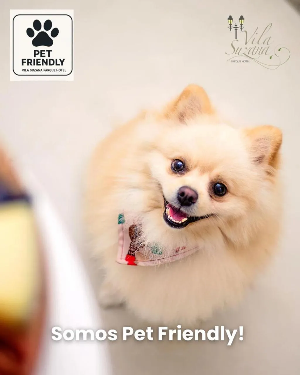Pets in Vila Suzana Parque Hotel