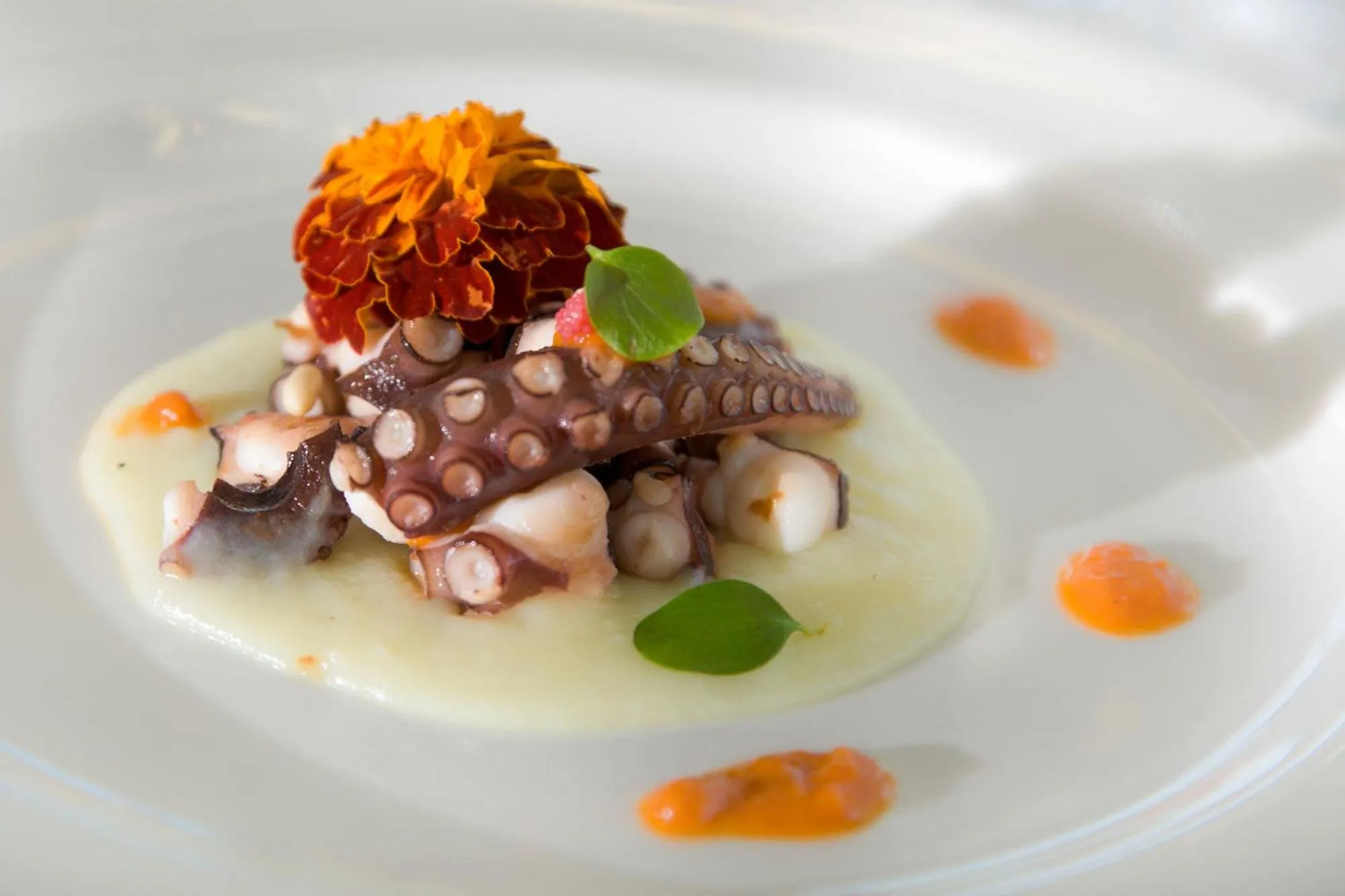 Food close-up in Il Conero Mare