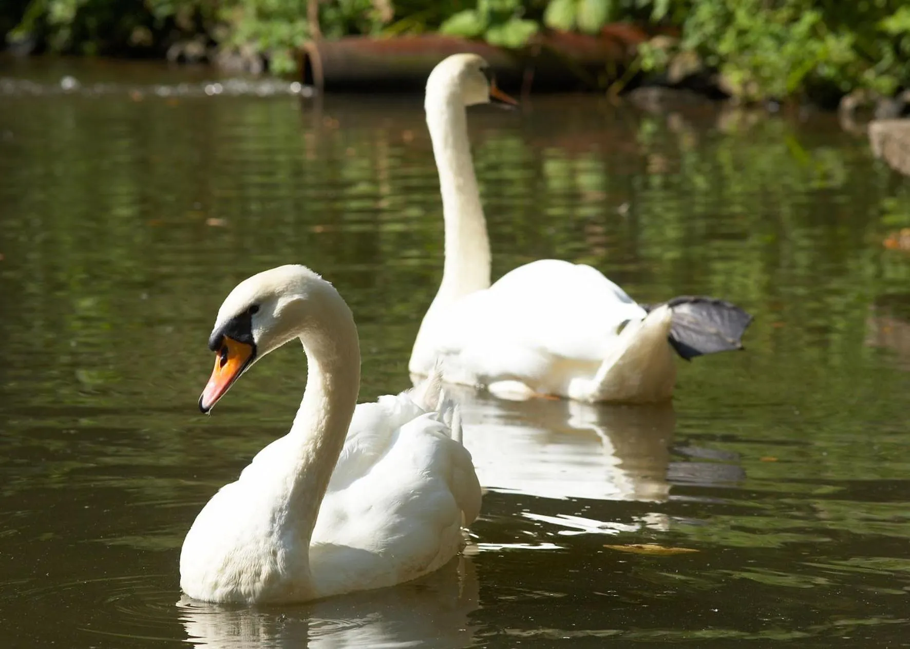Garden in Heidsmühle