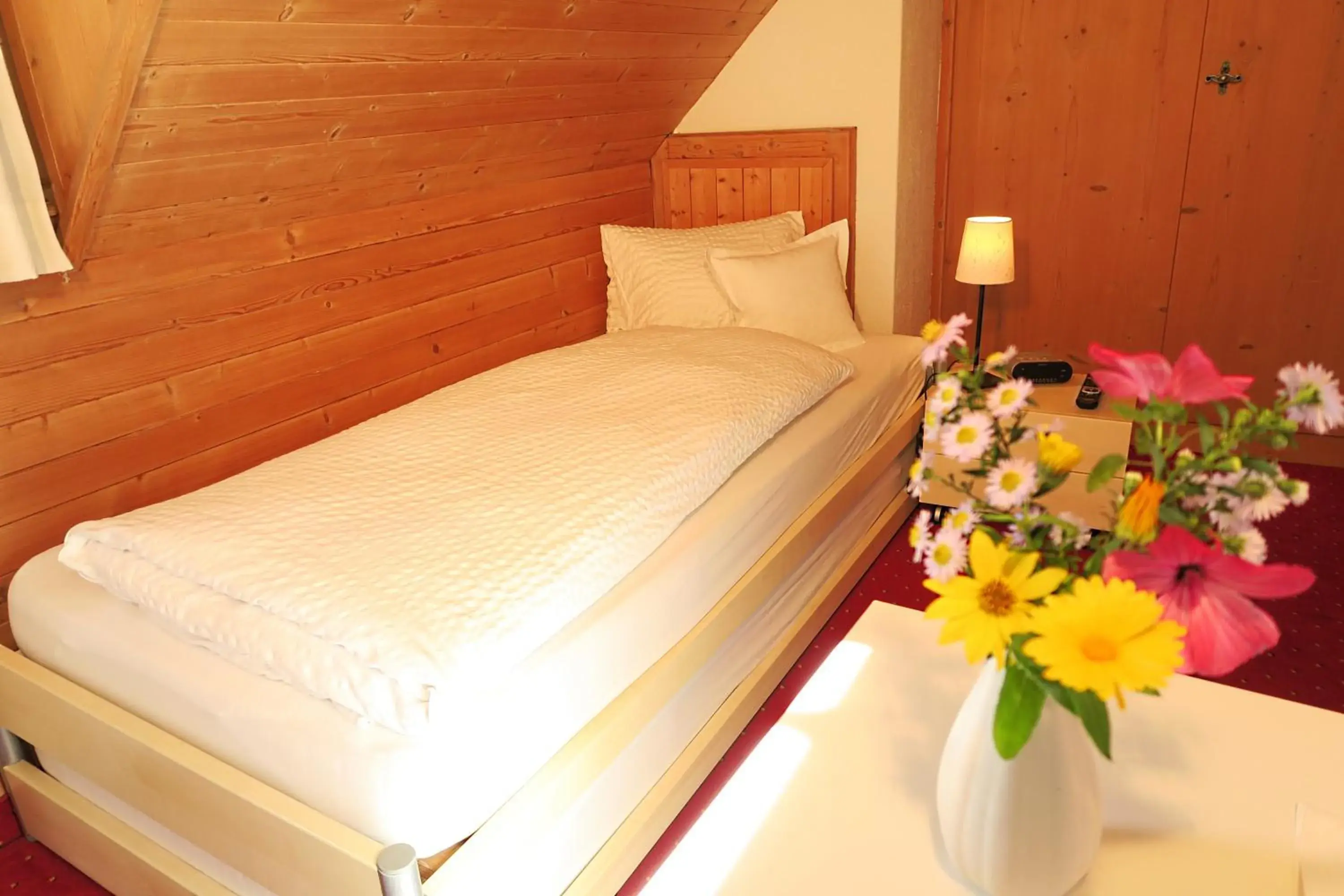 Standard Single Room in Hotel Restaurant GABRIEL Standard Single Room in Hotel Restaurant GABRIEL