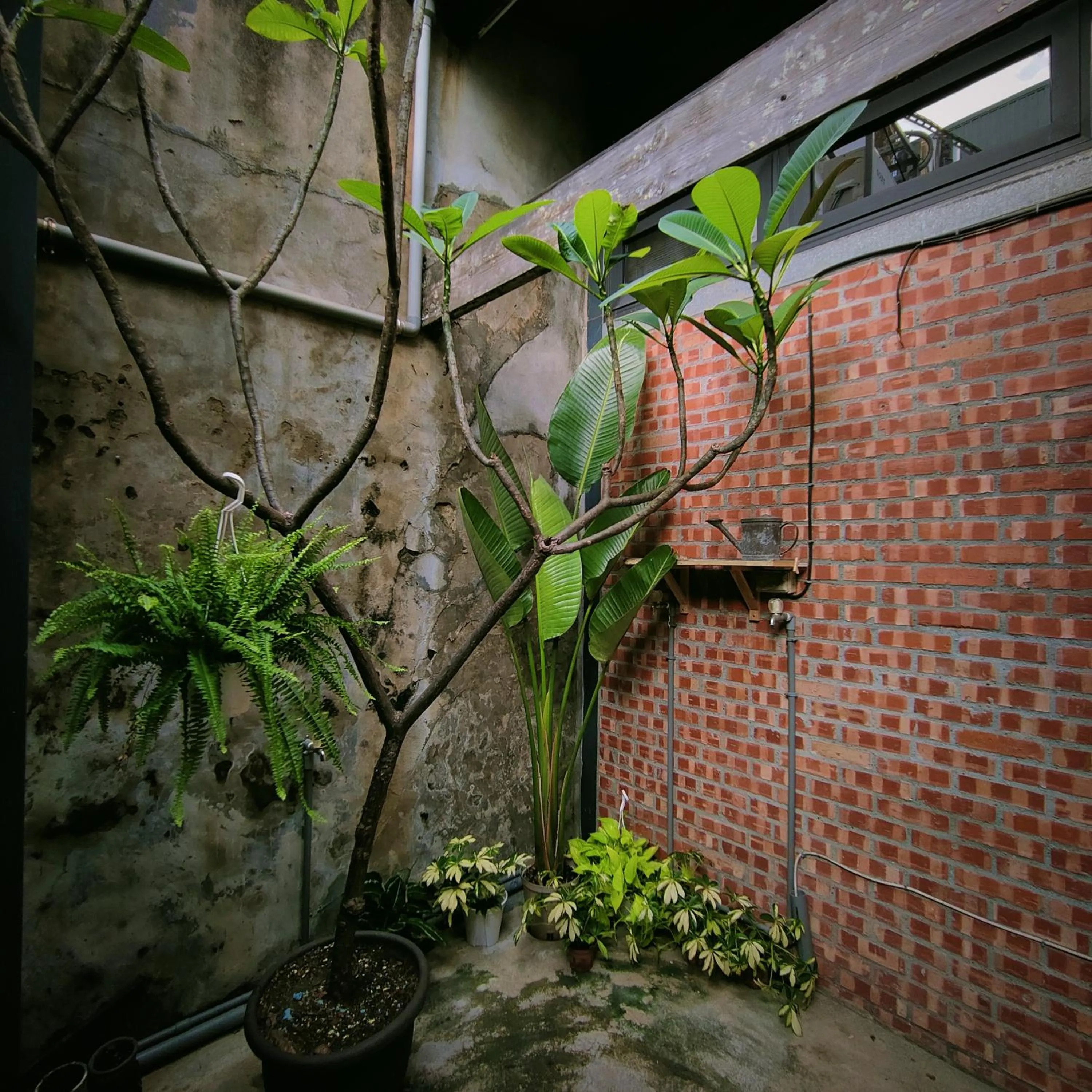 Garden view in Jerry's Mazehut Hostel