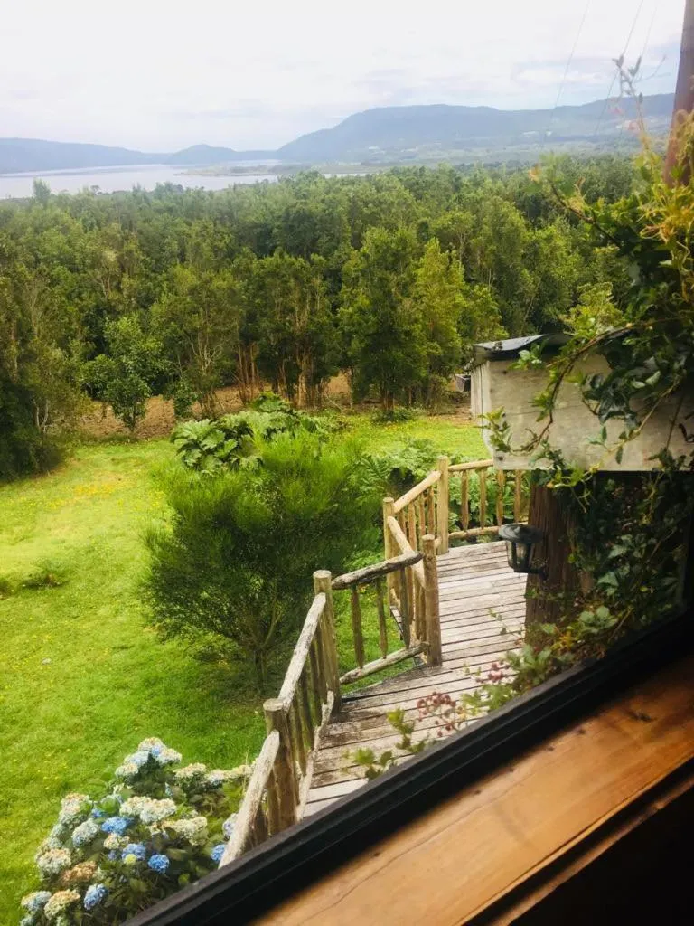 Garden in Kiyen Rupu Huillinco Chiloé