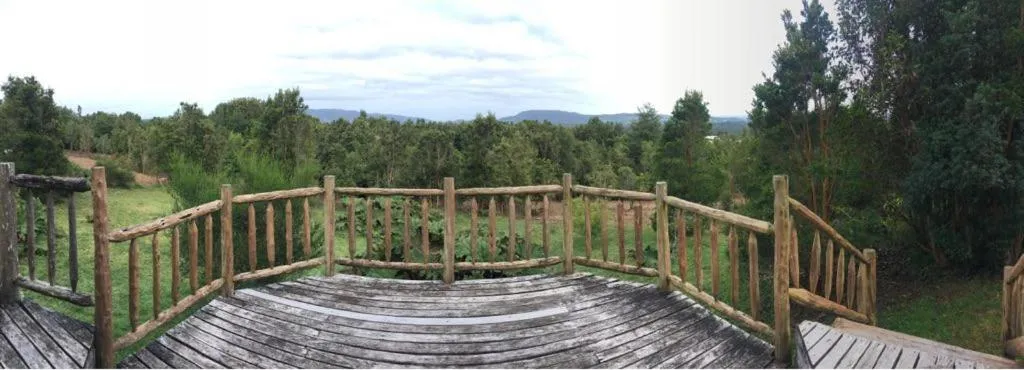 Balcony/Terrace in Kiyen Rupu Huillinco Chiloé